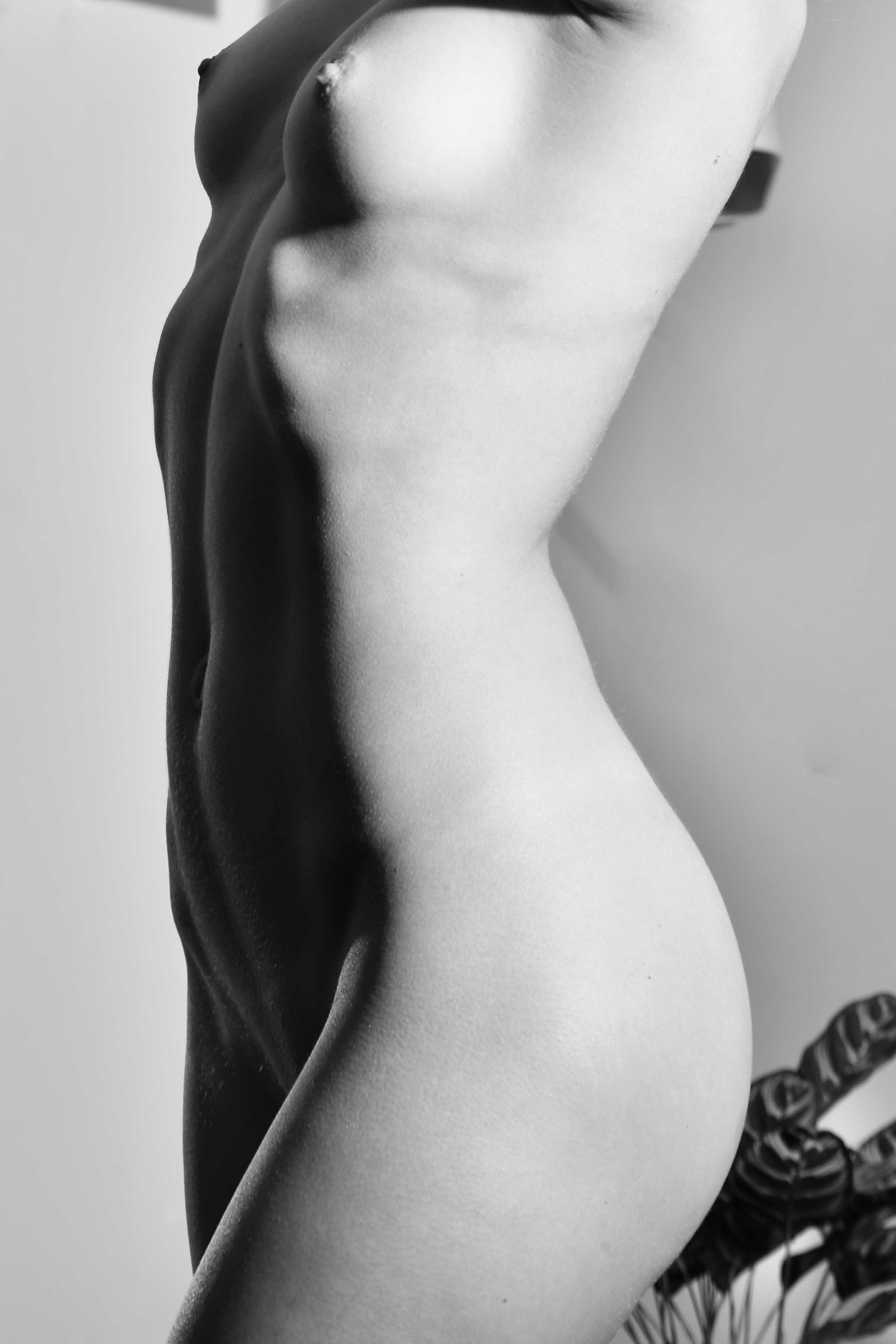 DSC_2953a.jpg
