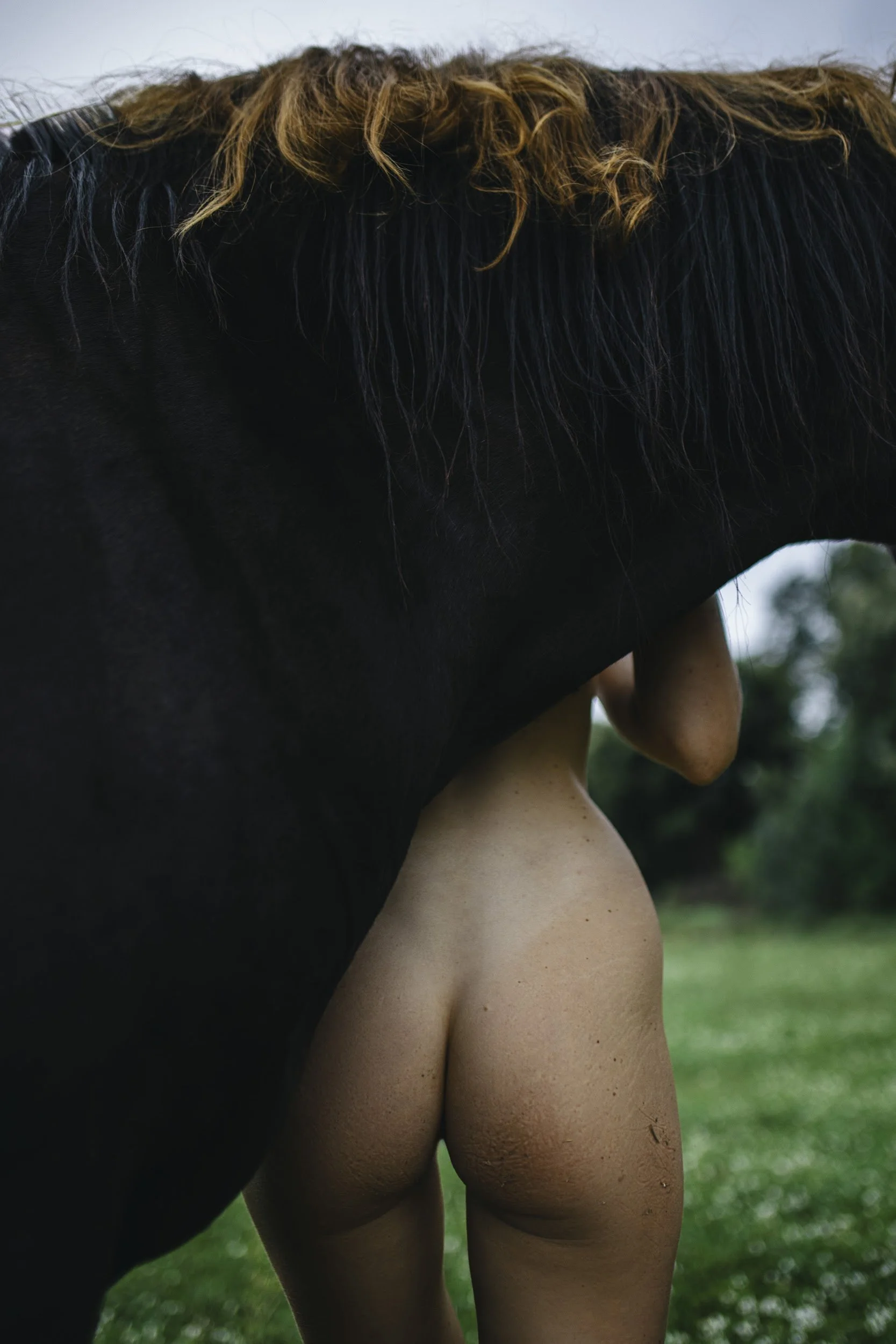 147A9225 копия_1.JPG