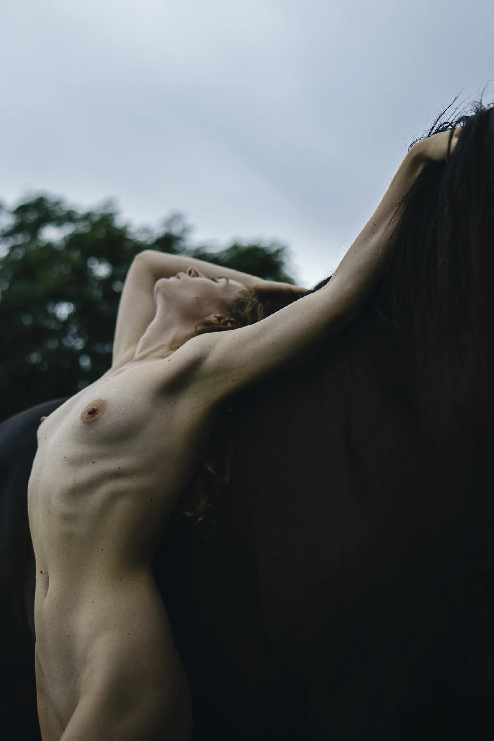 147A9251 копия_1.JPG