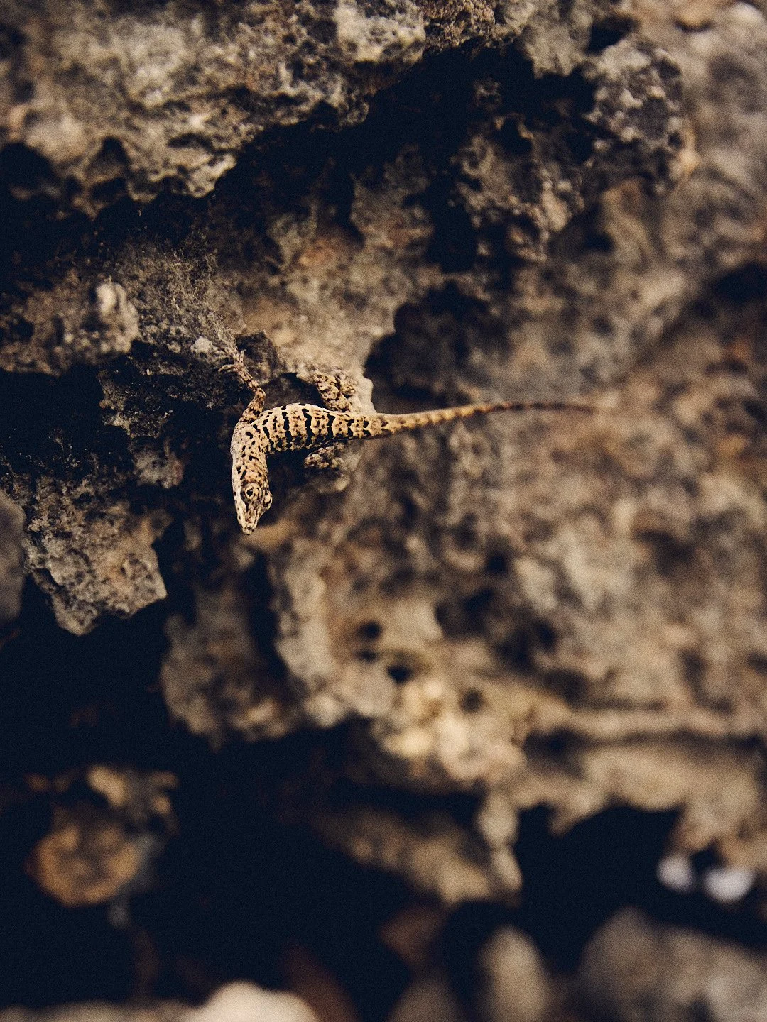 Esmee_Bonaire_14jan_1177_Websize (max 1mb).jpg