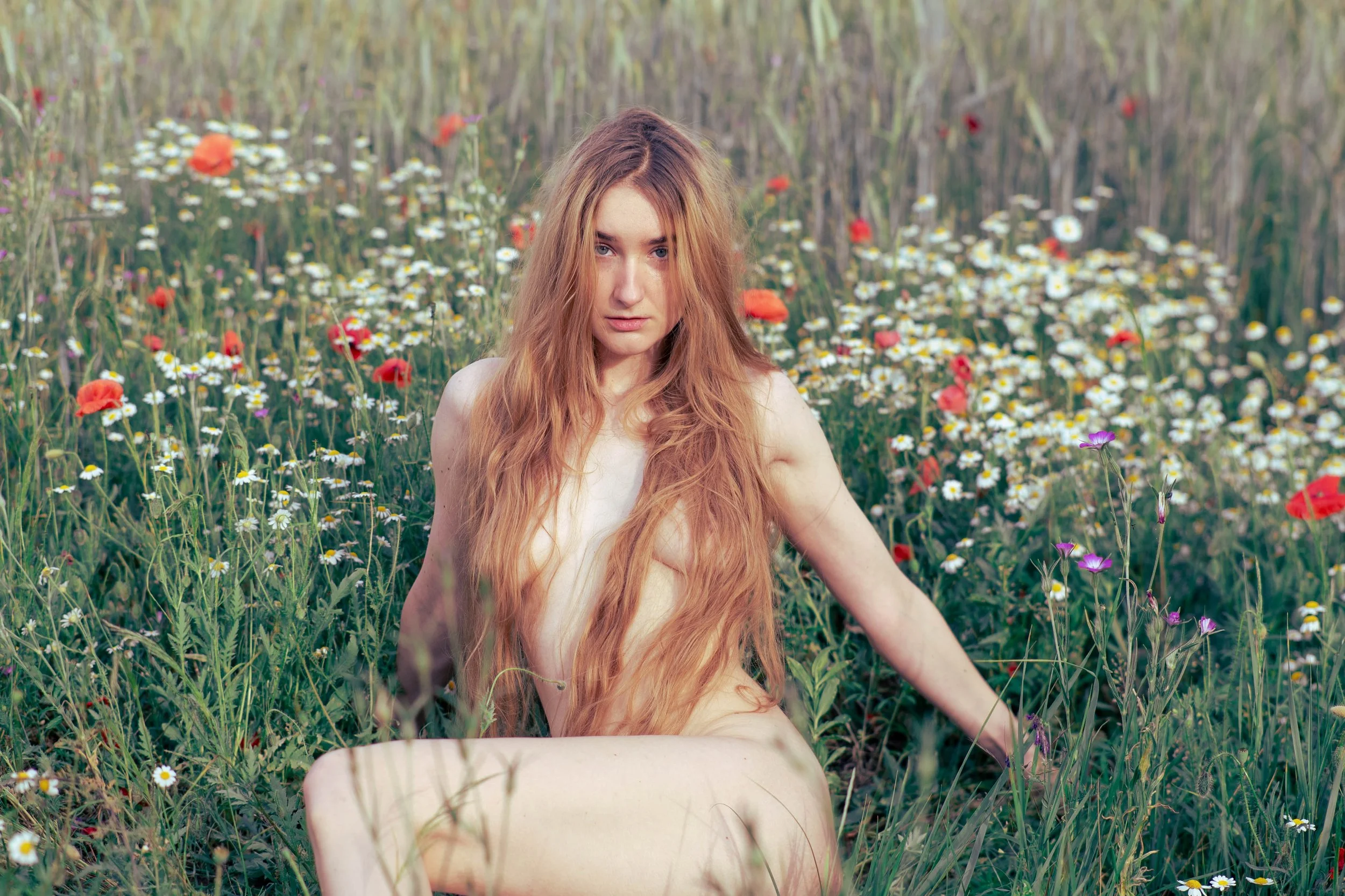 Within the Meadow
