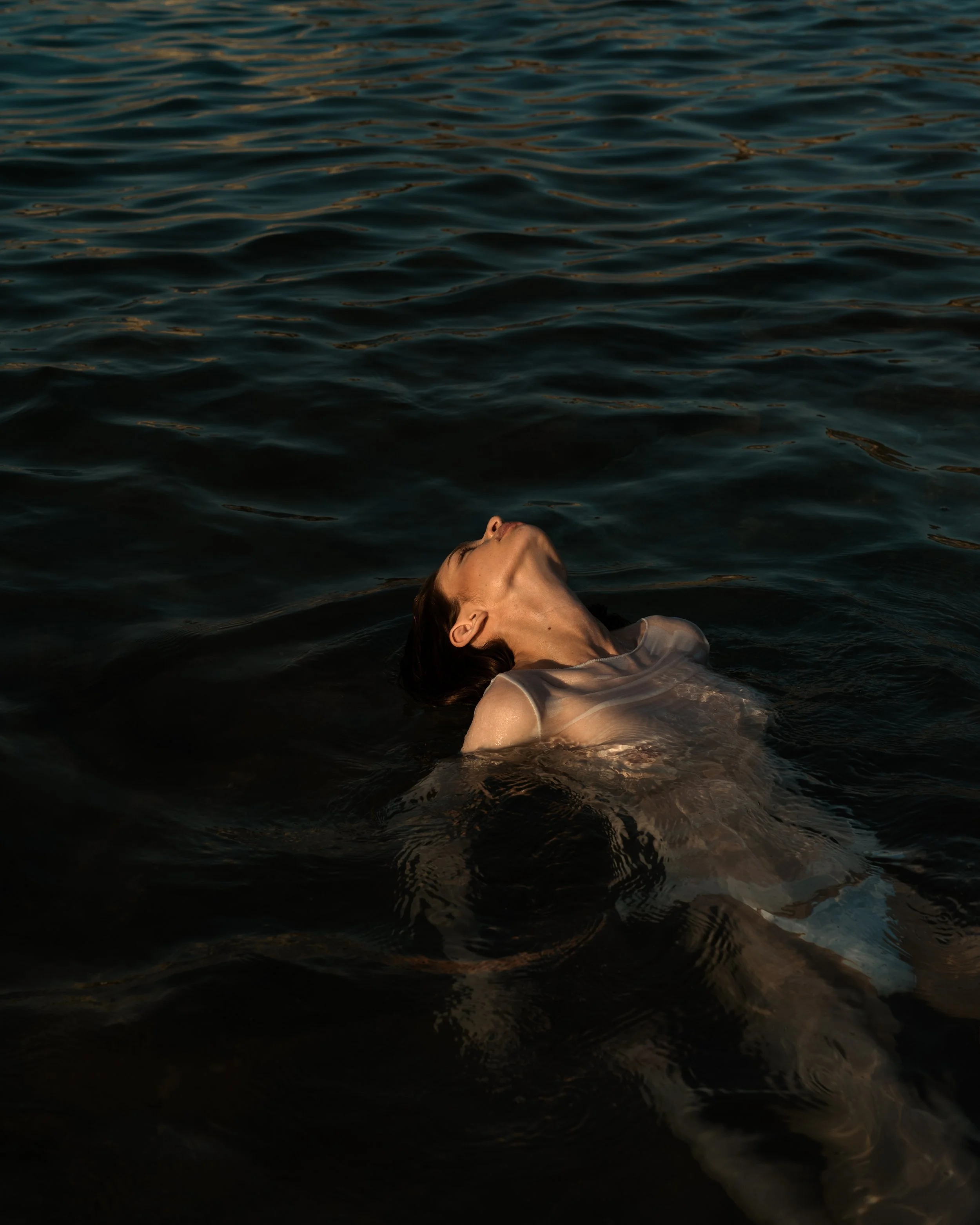 The Ocean Static