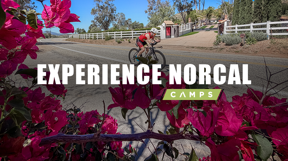 Experience Suisun Valley