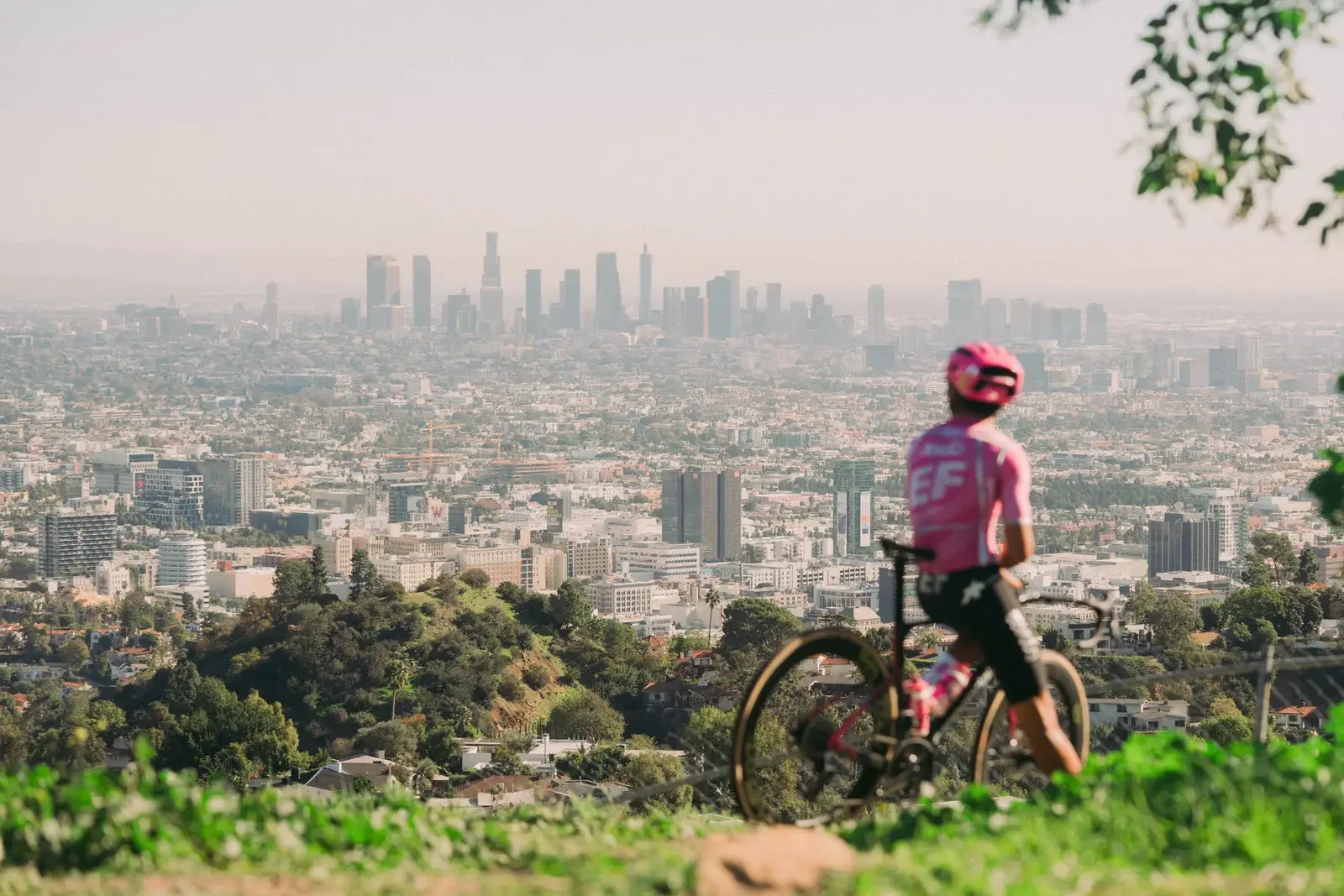 Crew Camp: LOS ANGELES