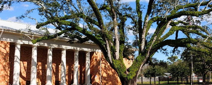 Campus