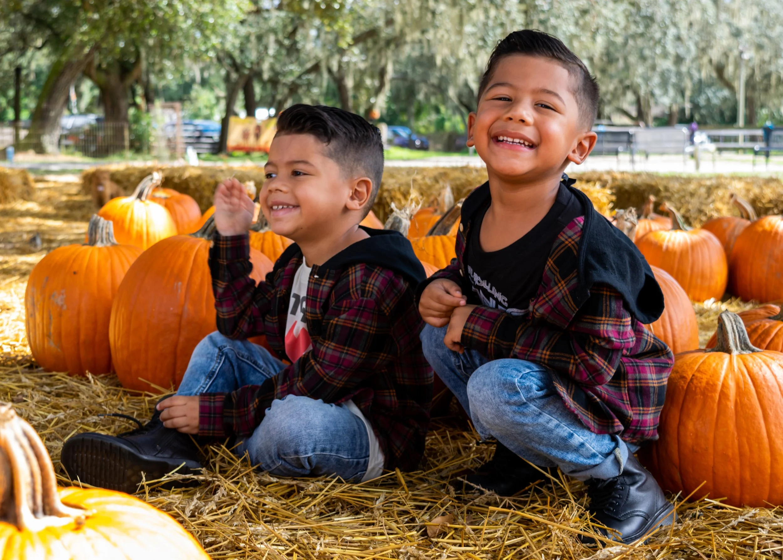 pumpkin patch 2020-0037.jpg