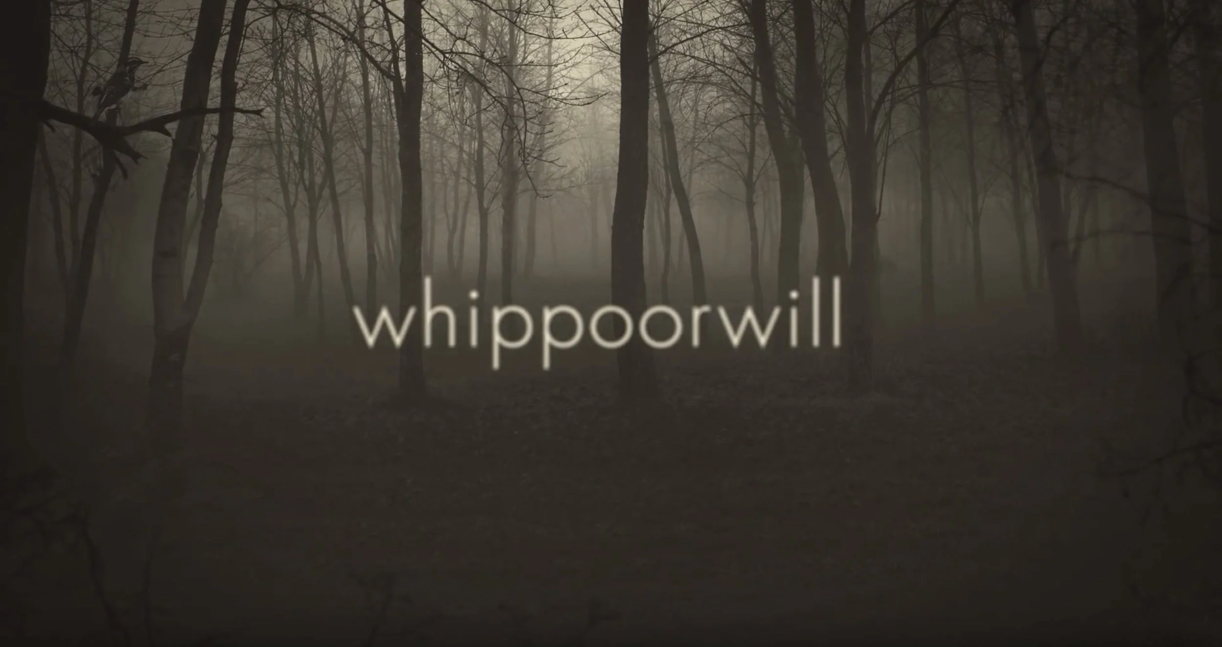 Clock Opera | 'Whippoorwill' | 2016
