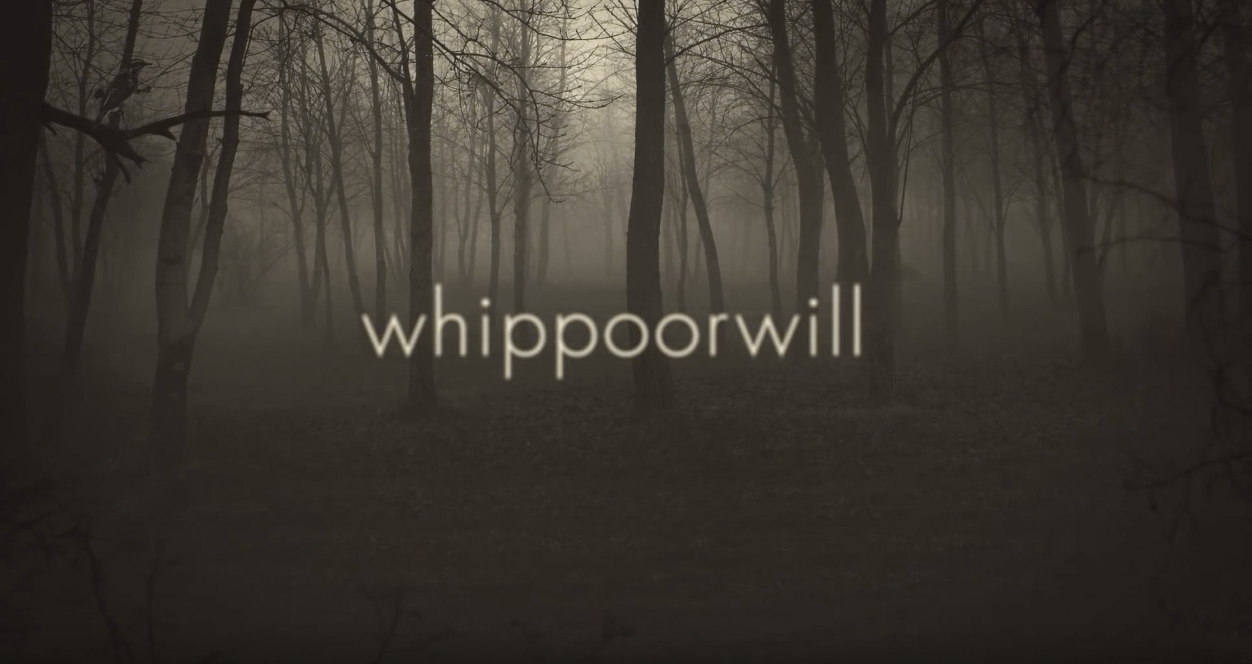 Clock Opera | 'Whippoorwill'