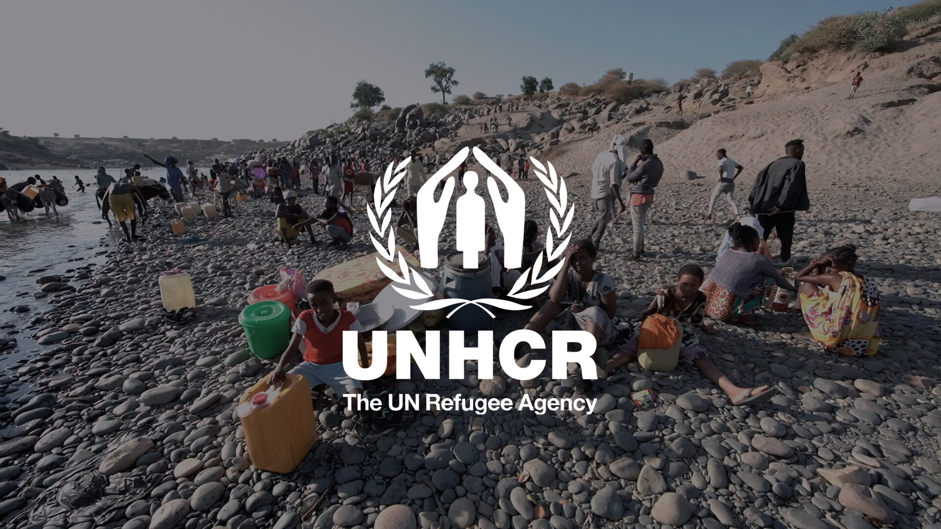 UNHCR (edit) | Ethiopia