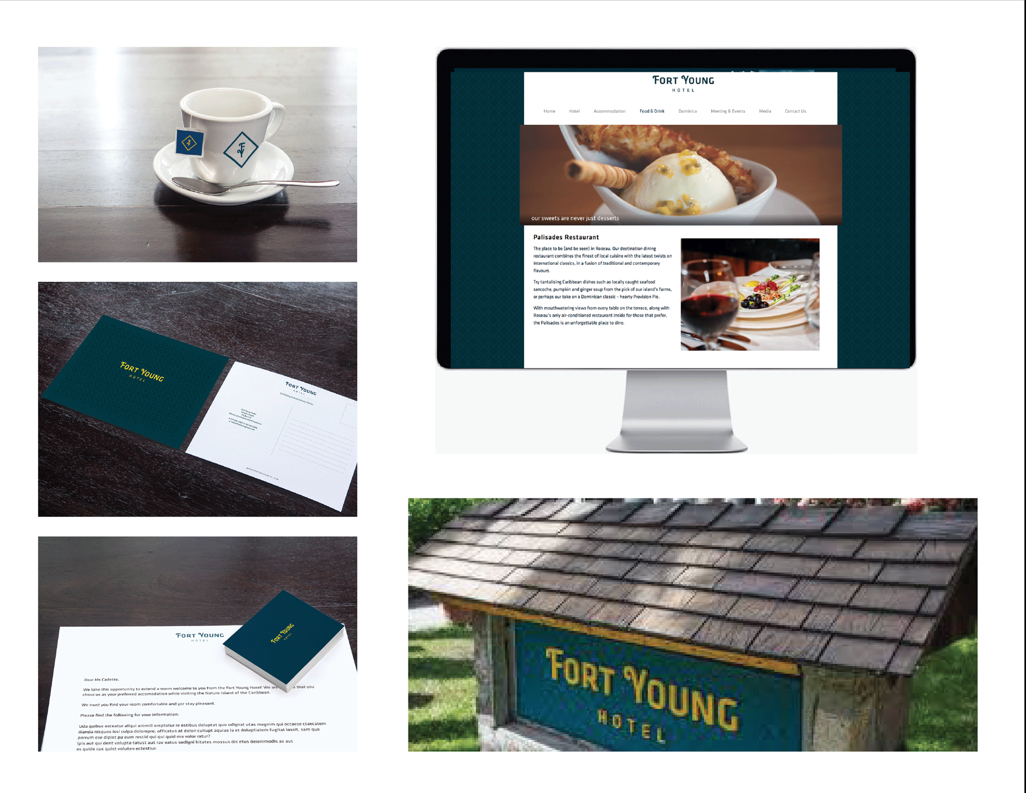 Fort-Young-04-Print-Materials.png