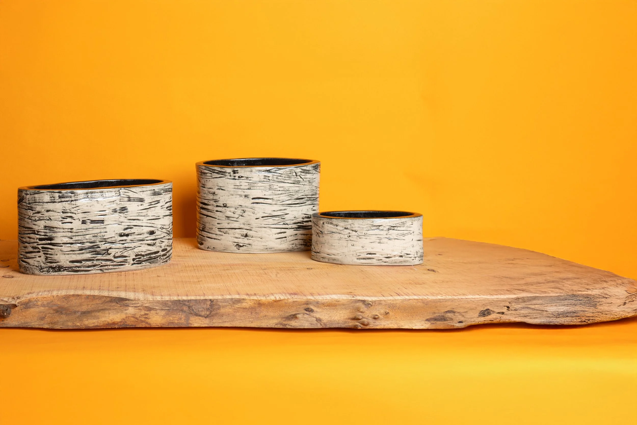 Lacemaker Vessels
