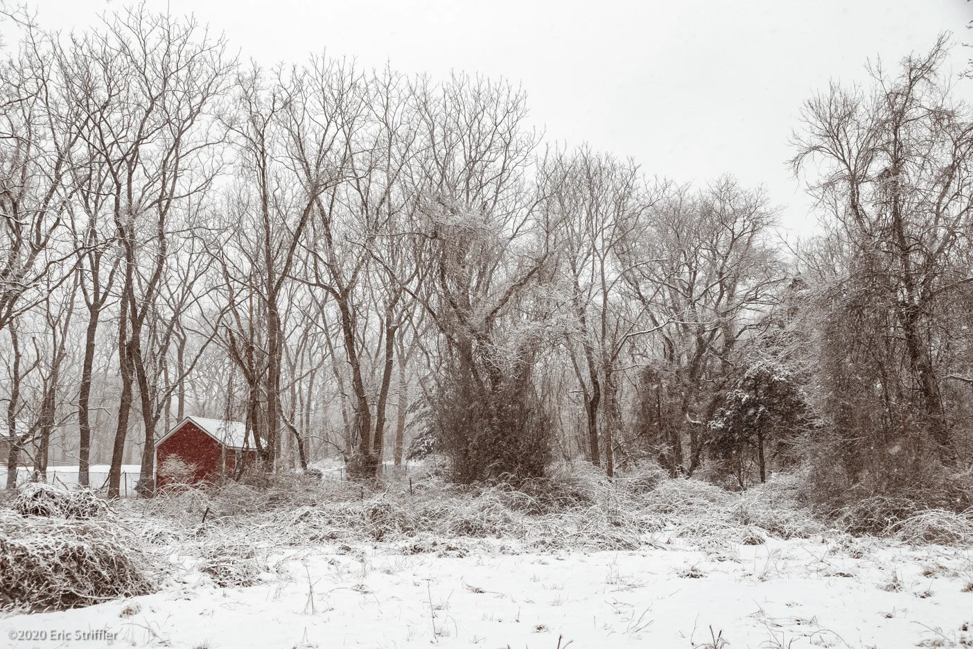 winter_snow_storm2-7-21-0449.jpg