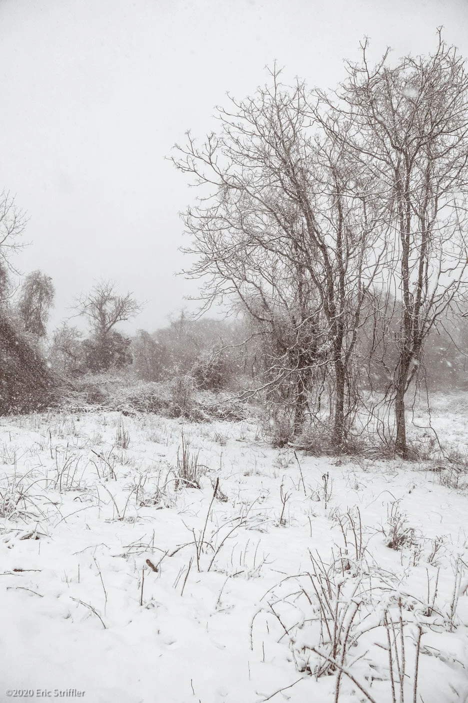 winter_snow_storm2-7-21-0508.jpg