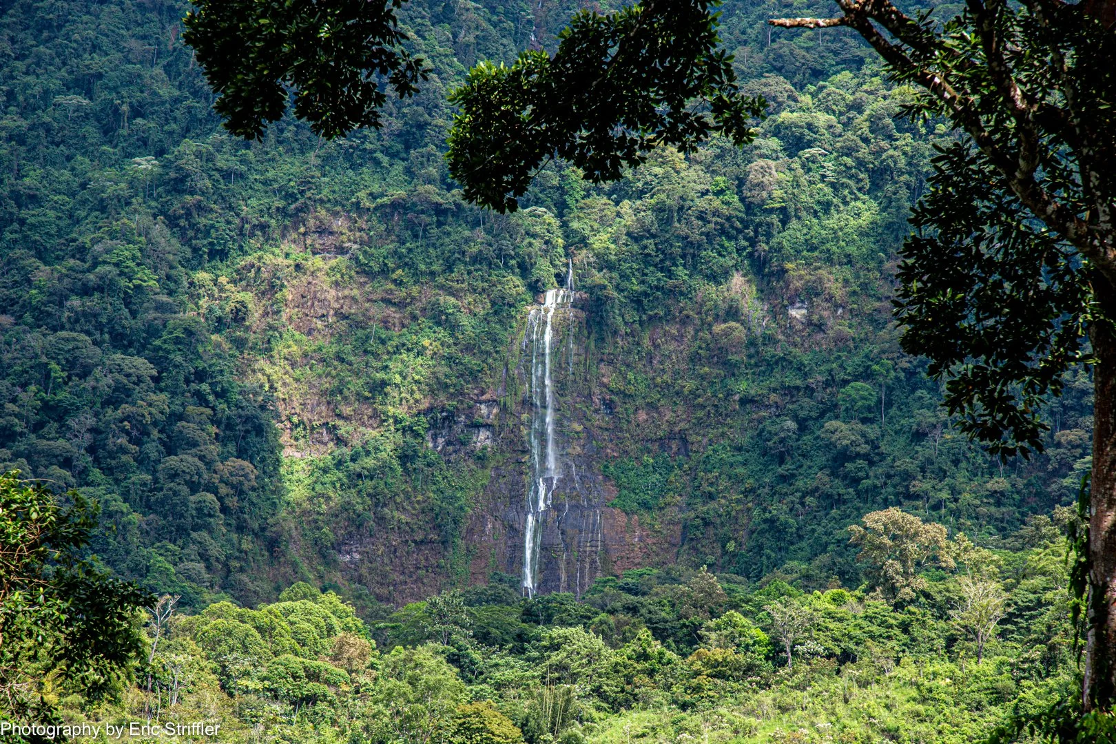 Stunning sunlight hits the idyllic waterfall as seen from the pool deck.