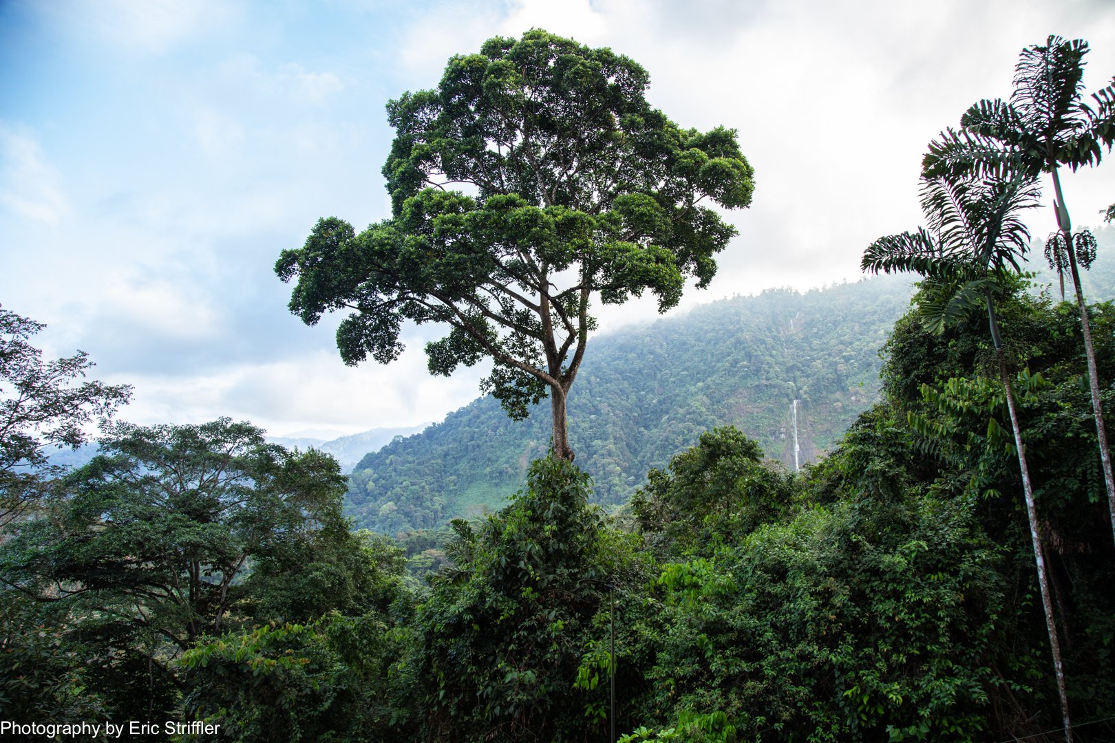 The beautiful view from Vajra Jahra looking towards the mountains and distant waterfall.