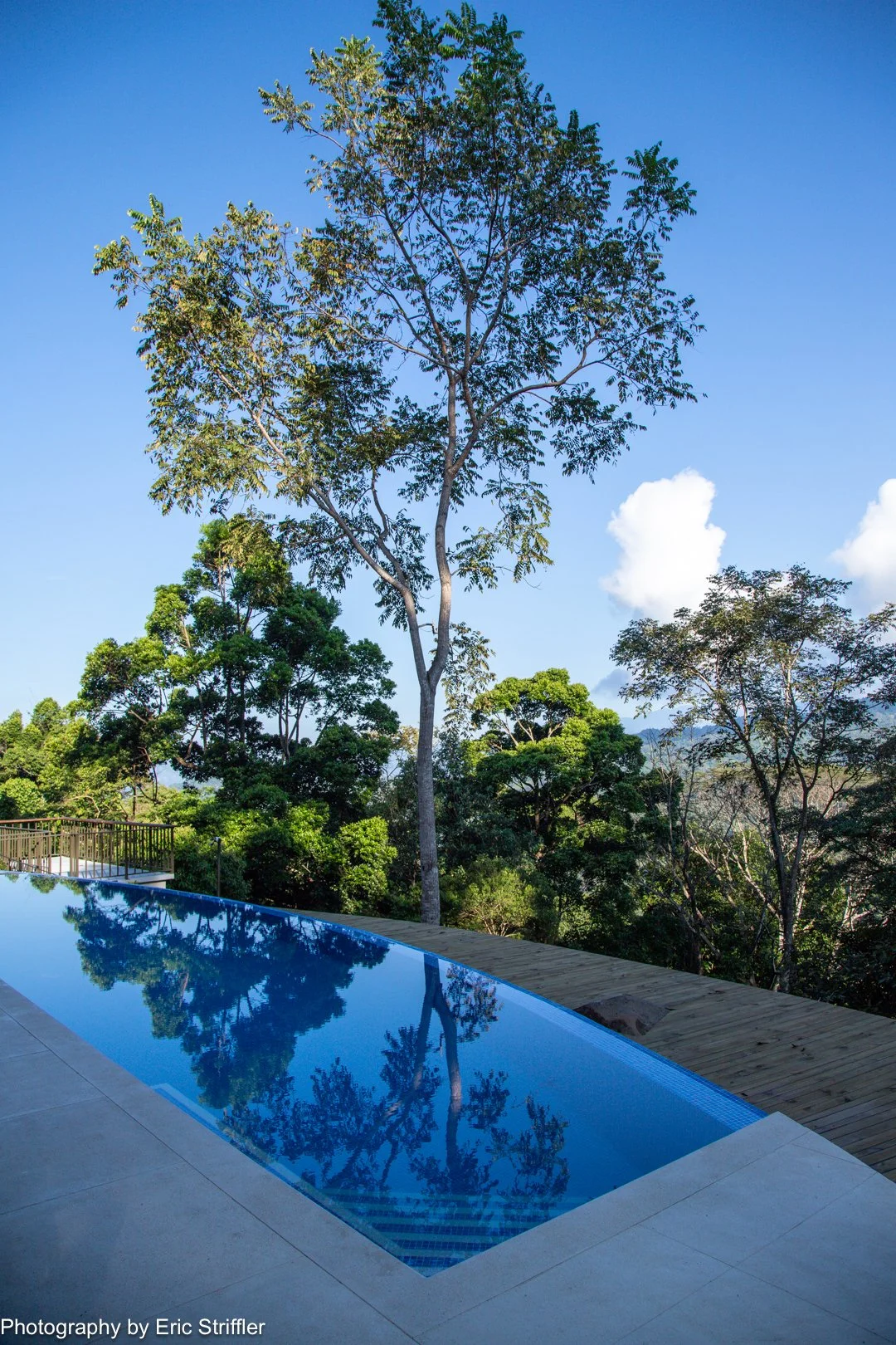 The beautiful pool with the lush rainforest in the background.