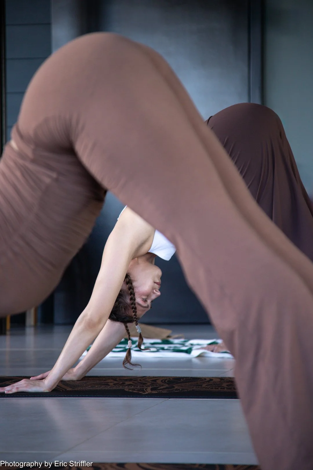 Downward dogs during one of Chrissie's classes.