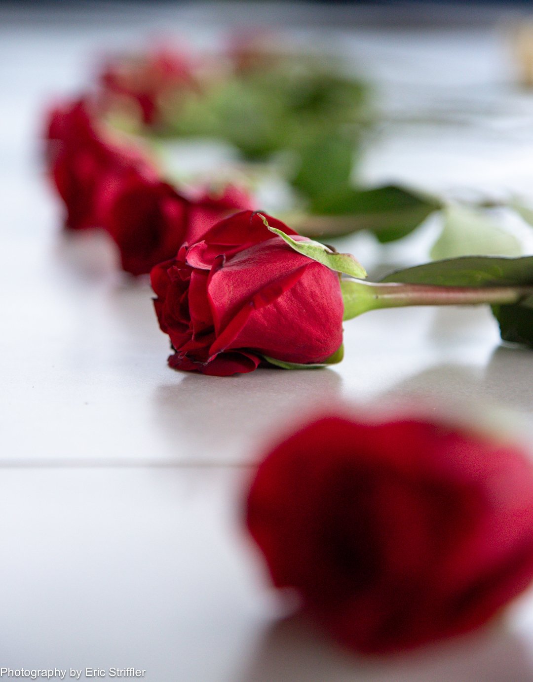 Beautiful red roses line the alter for the mesmerizing cacao ceremony.