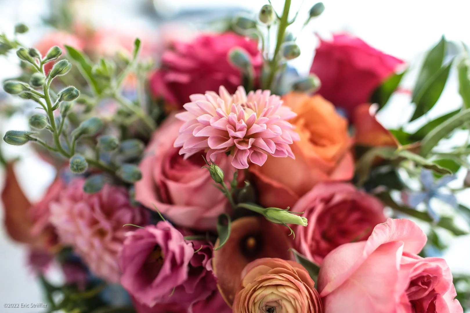 kathleen_hugh_wedding9-10-22-0169.jpg