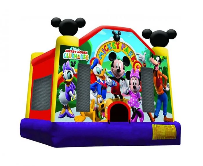 Mickey Bounce.jpeg