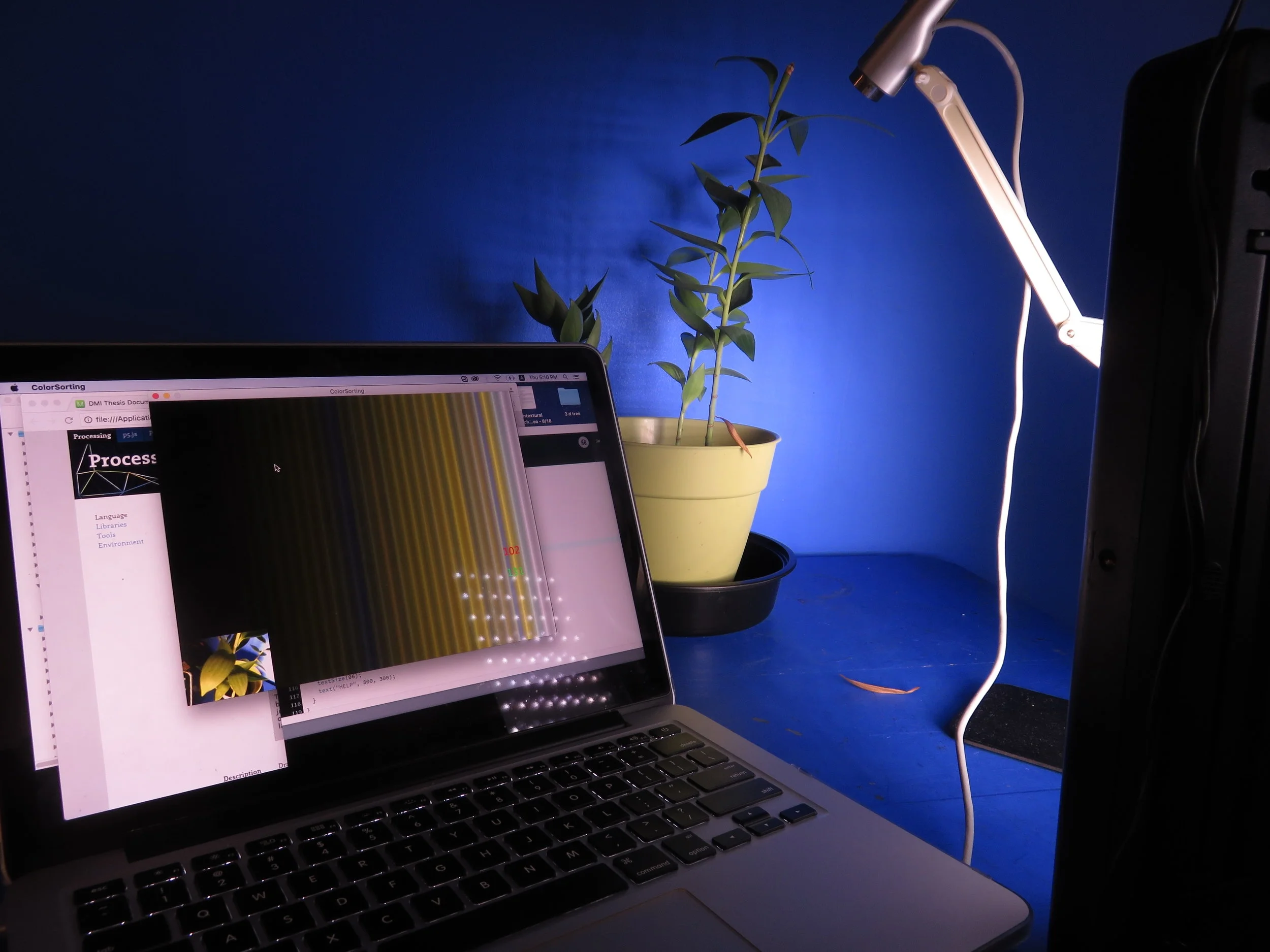 Camera capture the color of leaves