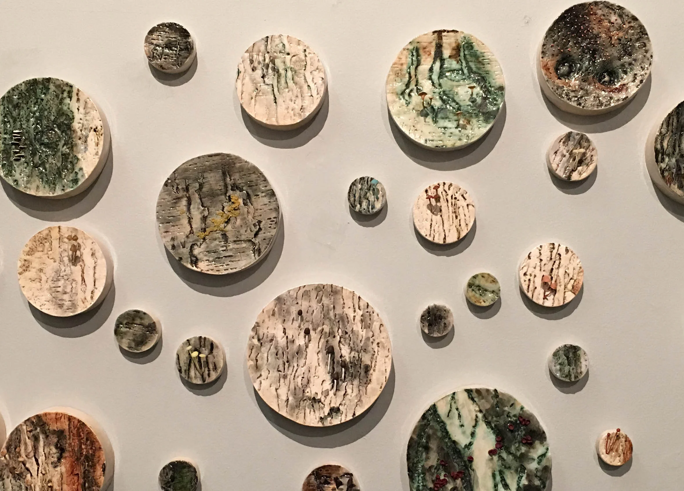 Nature’s Recyclers, 2016-