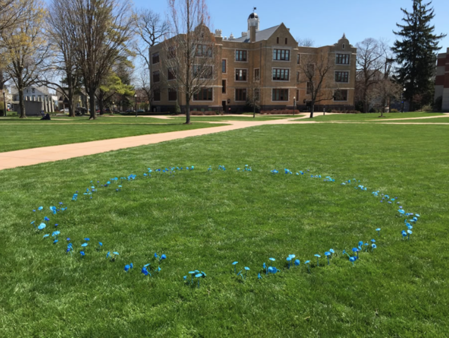 Fairy Ring, 2016