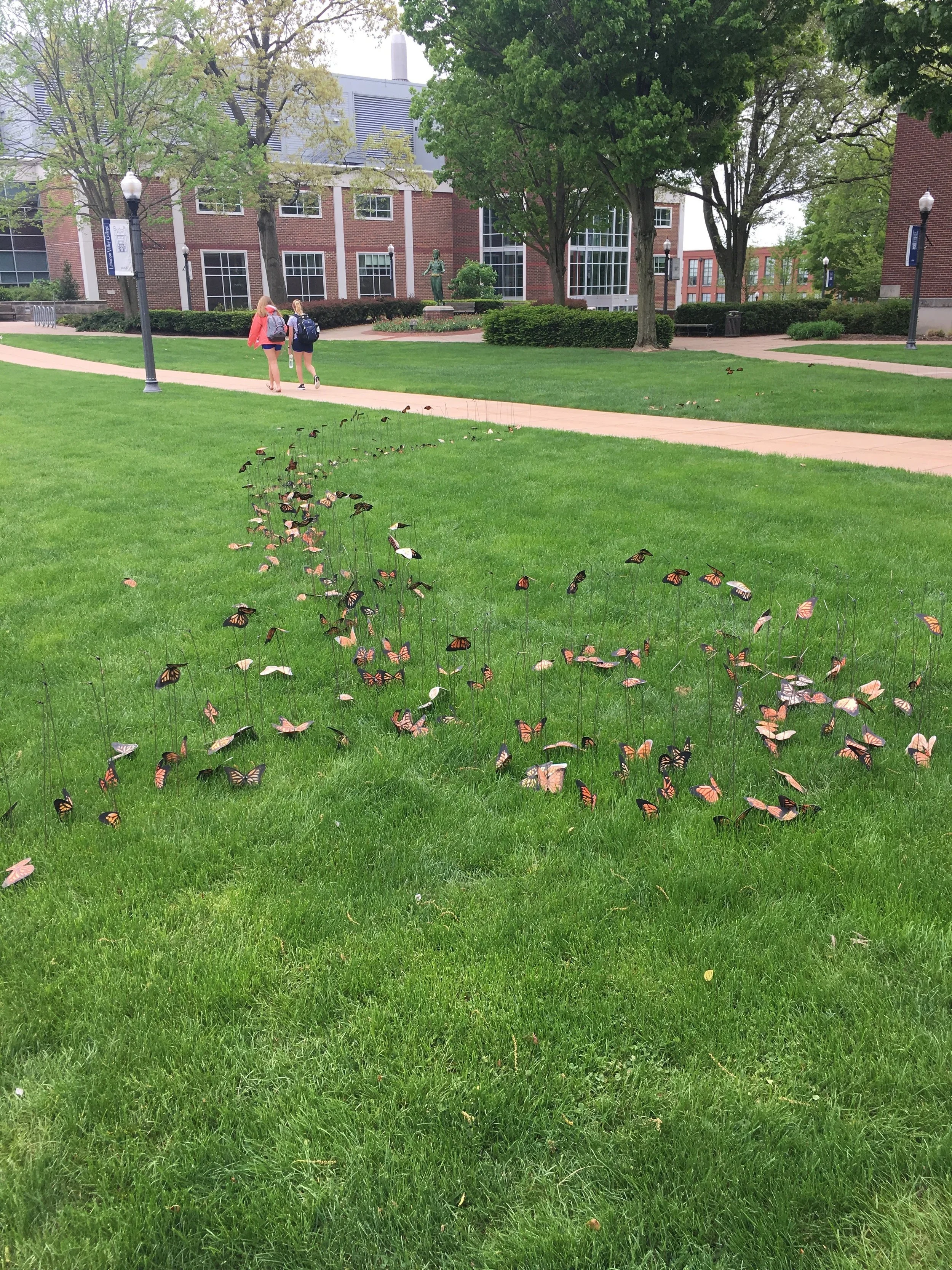 She flew over farms and highways,  cities and towns, forests and rivers, 2017