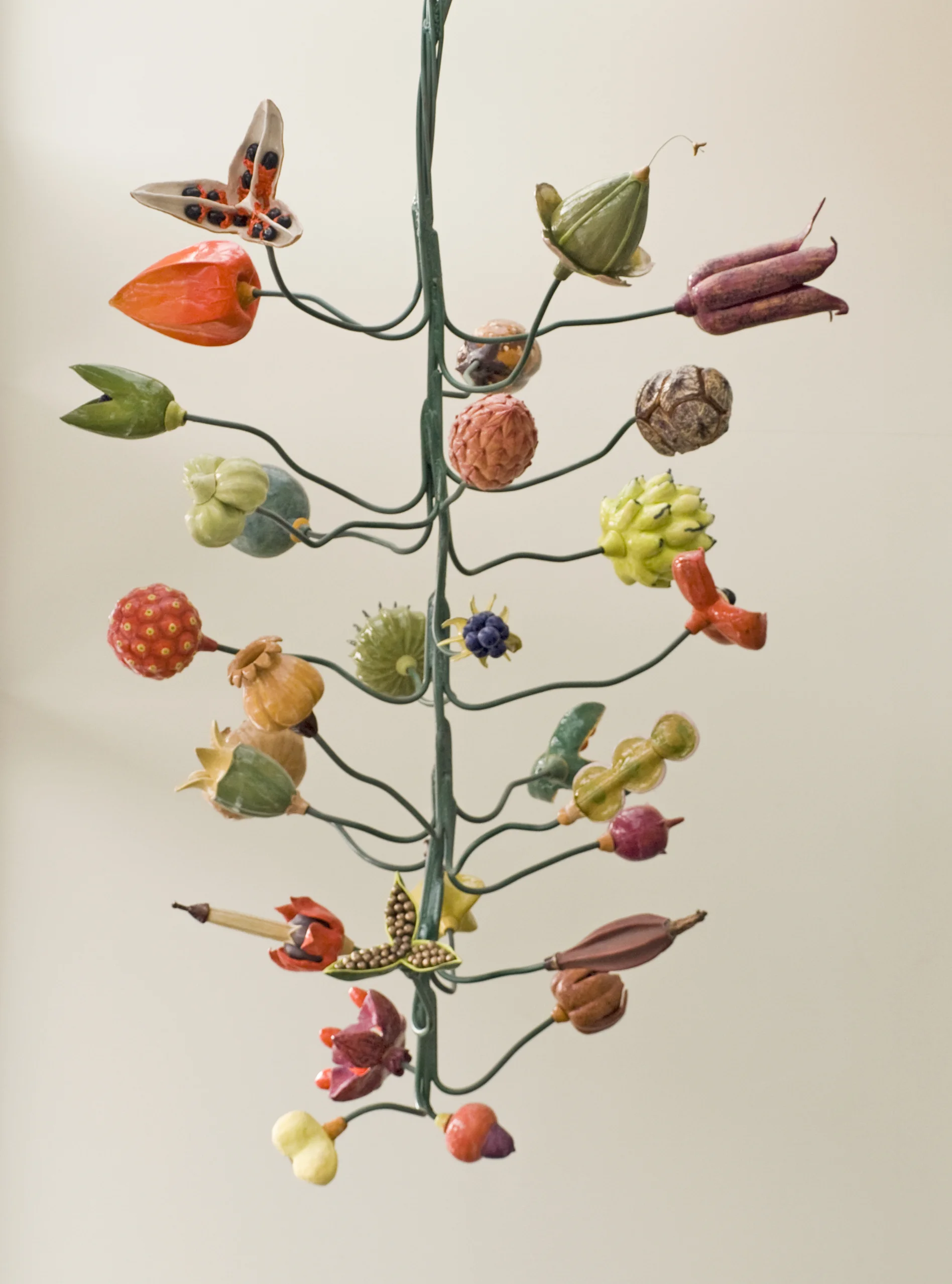 Seeds of Knowledge, 2015