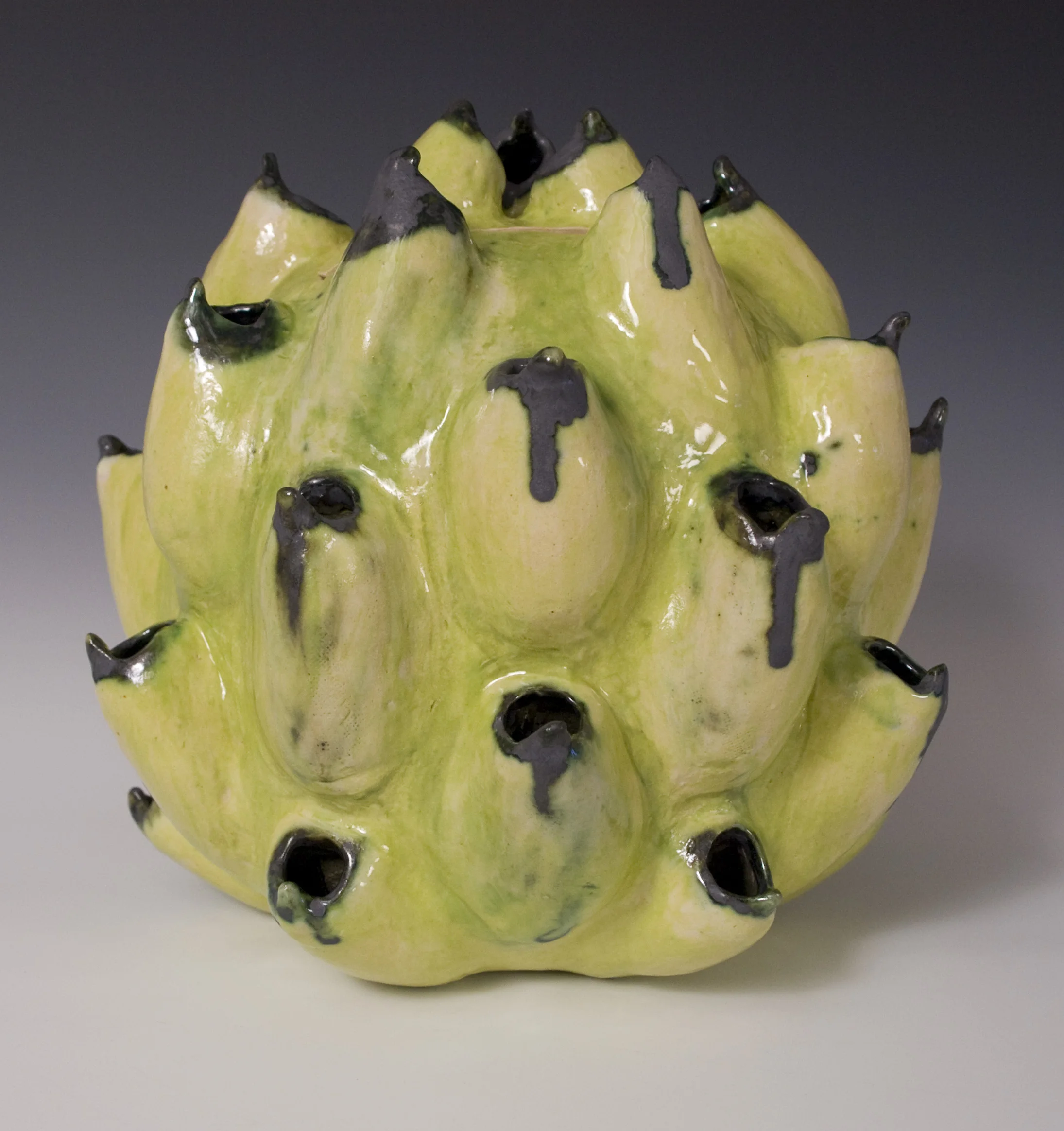 Seeds of Knowledge, 2015 (detail)