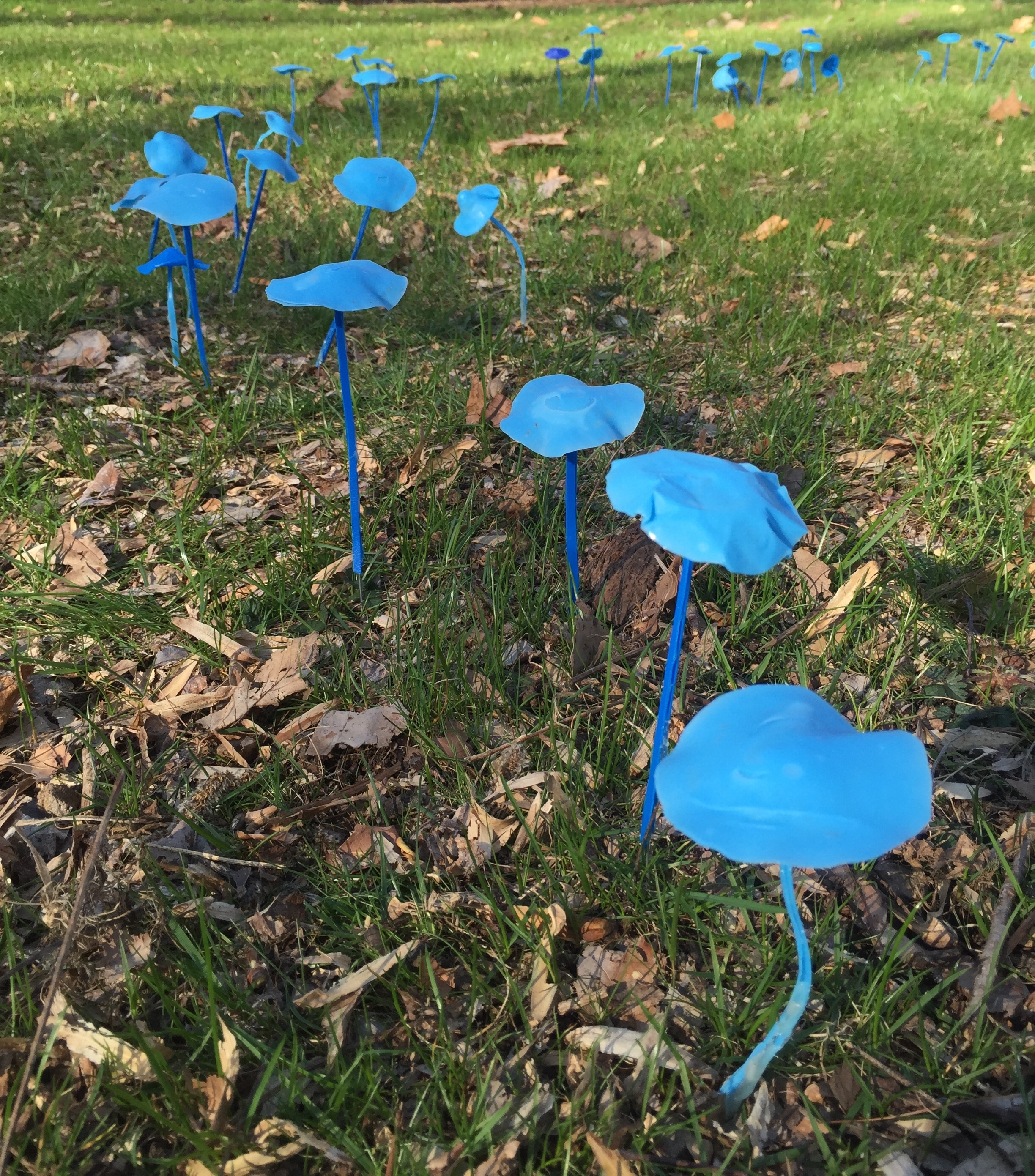 Fairy Ring, 2016  (detail)