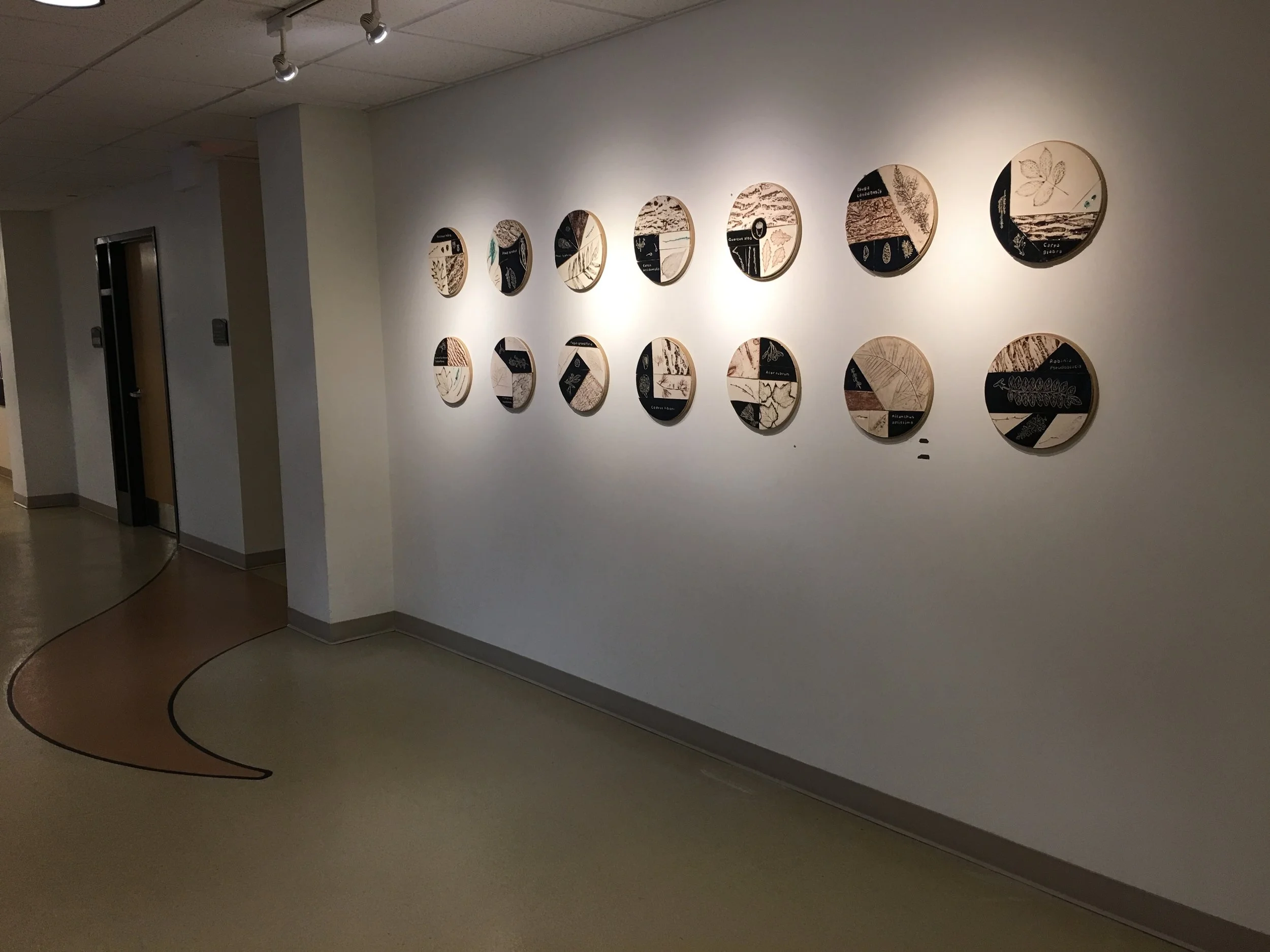 Pennsylvania Tree Identification Project, 2018