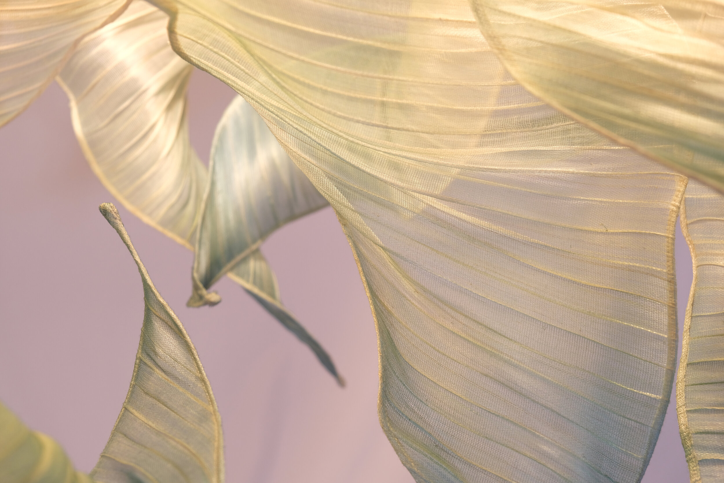 04 Nebula Grande Handpainted from Mirei Monticelli.JPG