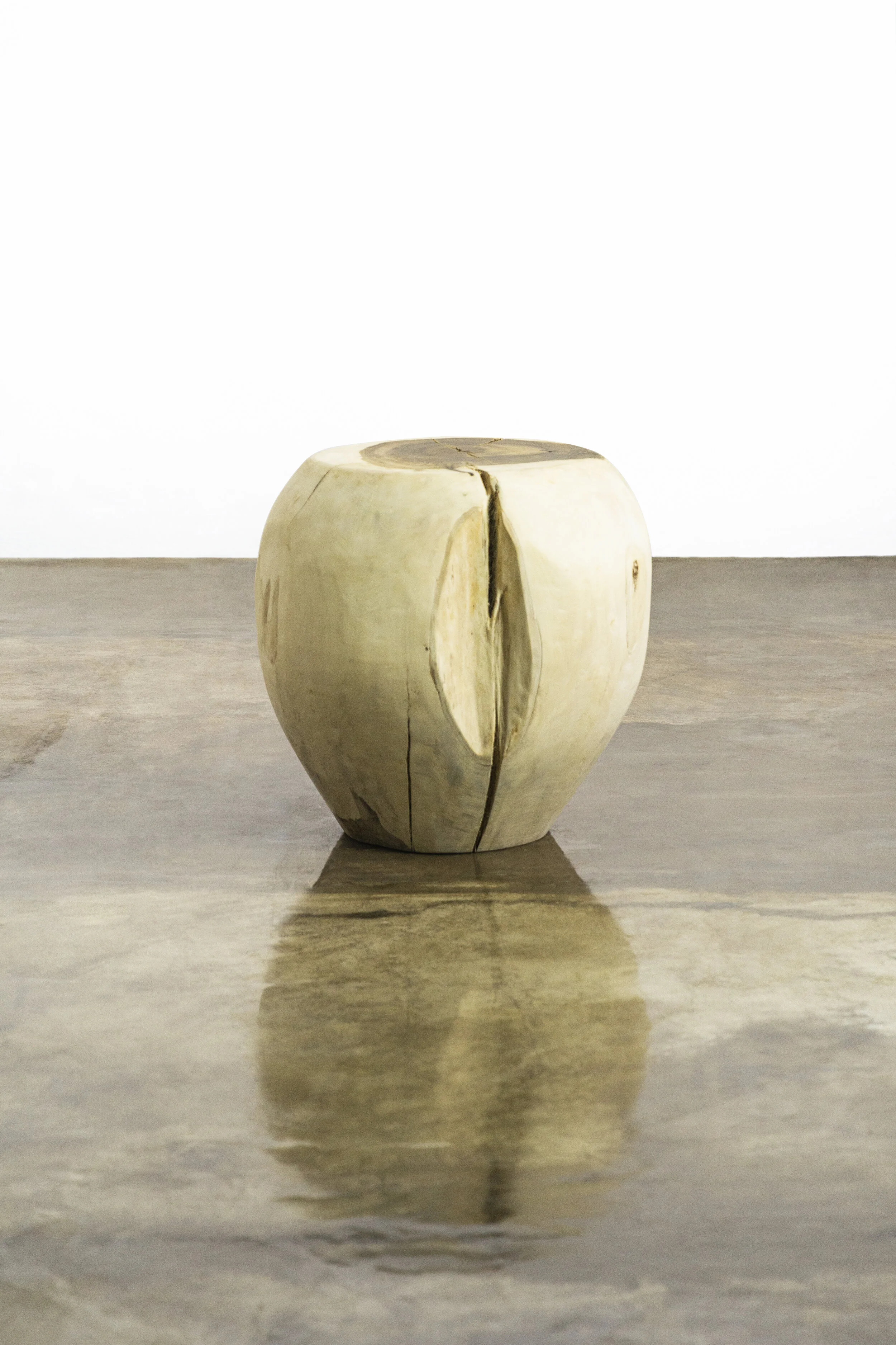 ƒ 30 from Costantini_D16.53”H20.07”LB160.93_02.jpg