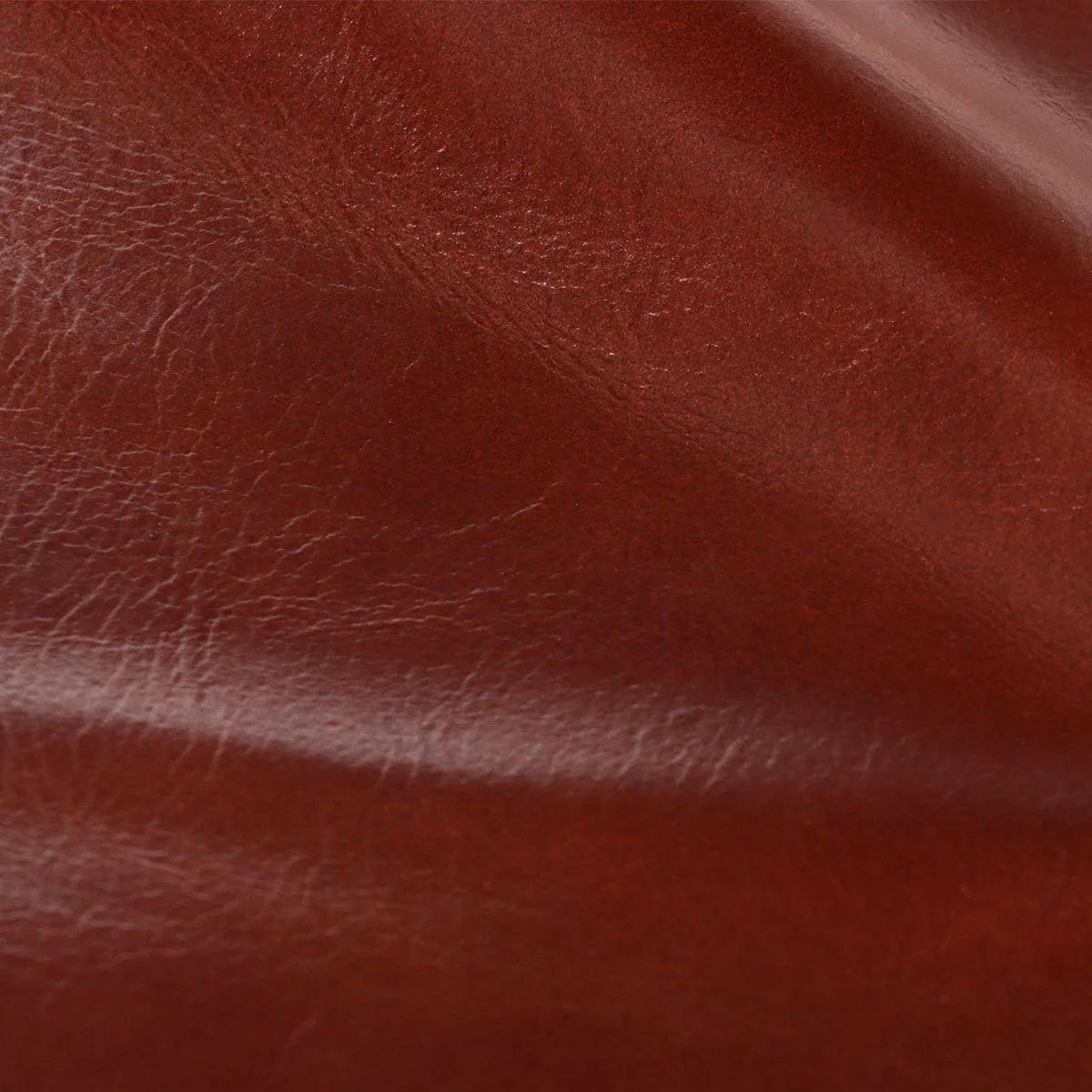 Primo Teak 01.jpg