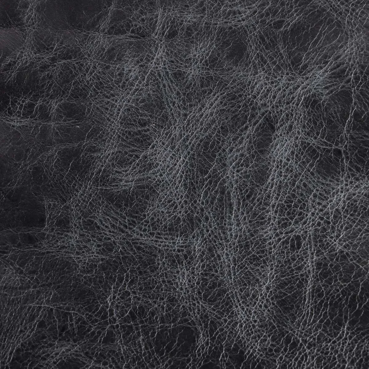Bari Graphite 00.jpg