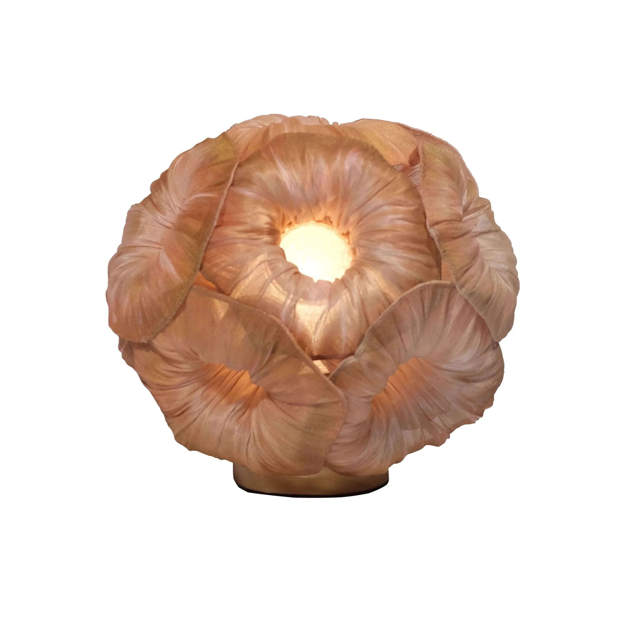 anemone+small+wanted+design+copia.jpg
