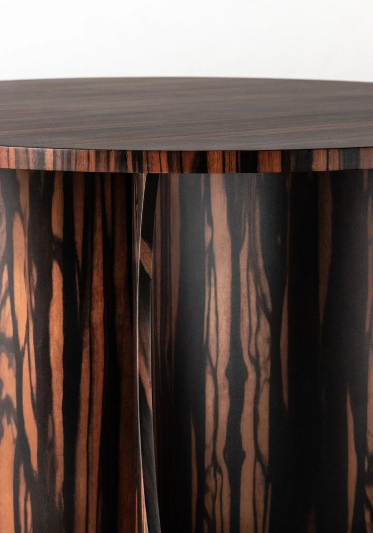06+Andino+_Macassar+Ebony+Side+Table+from+Costantini.jpg