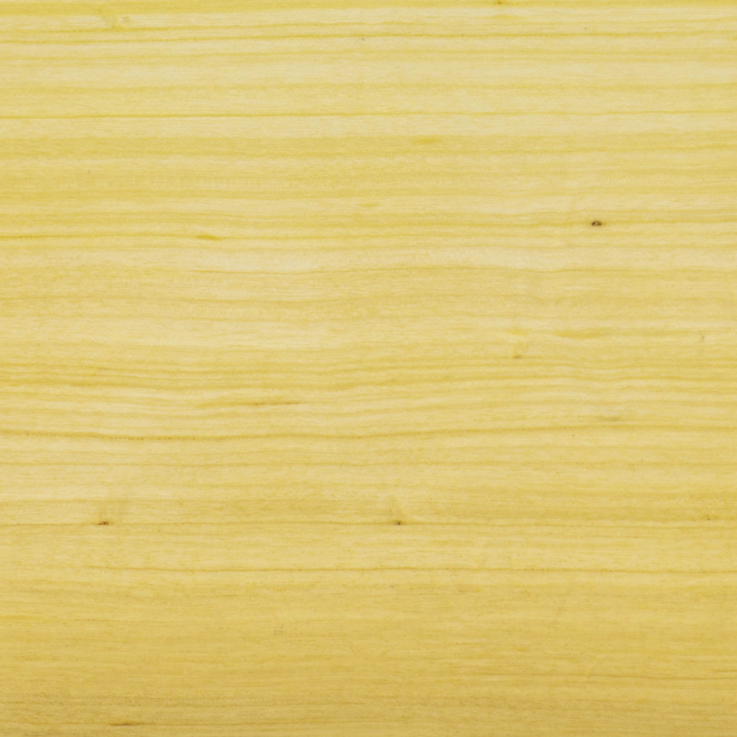 Ivorywood Sample by Costantini 00.jpg