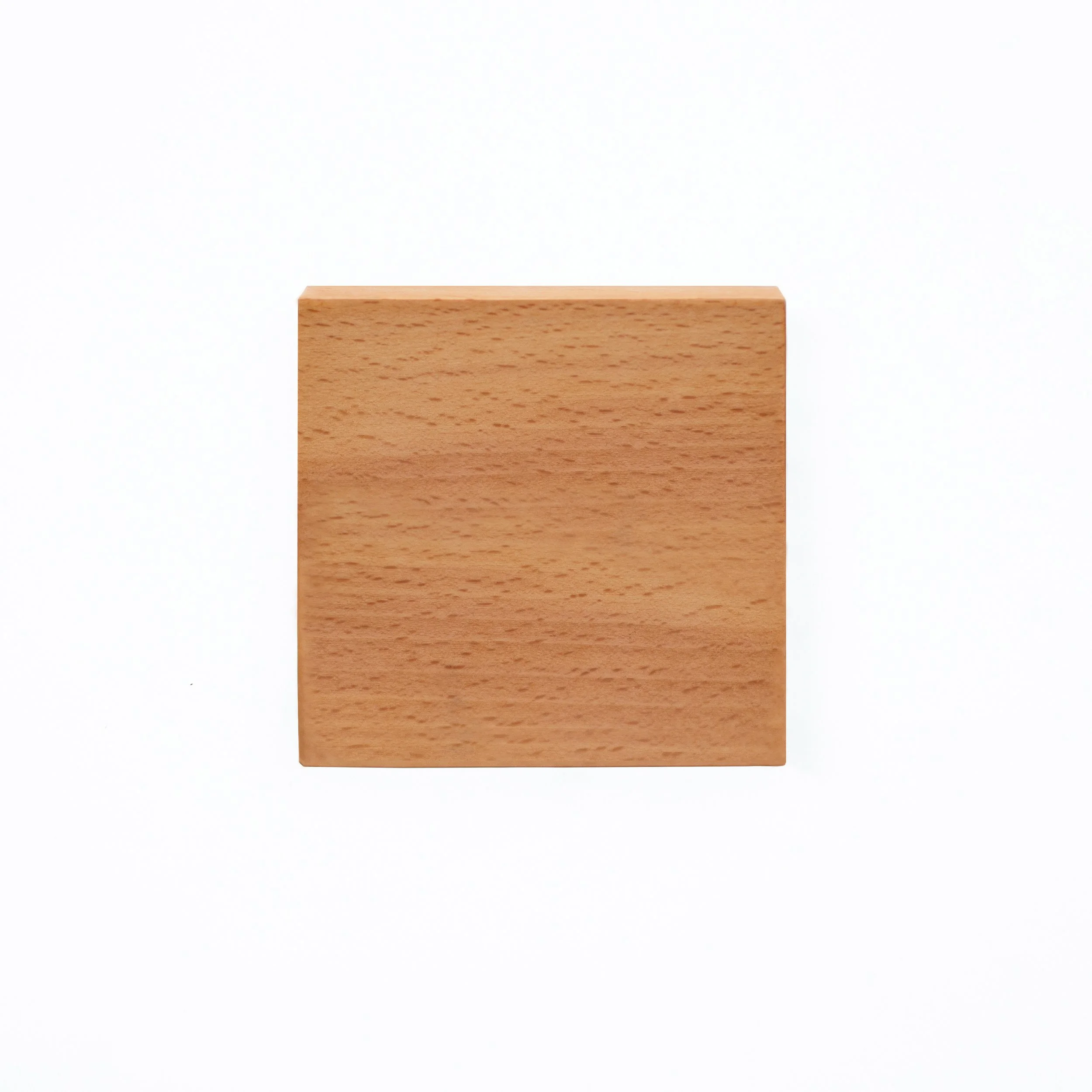 Beech By Costantini 02.jpg