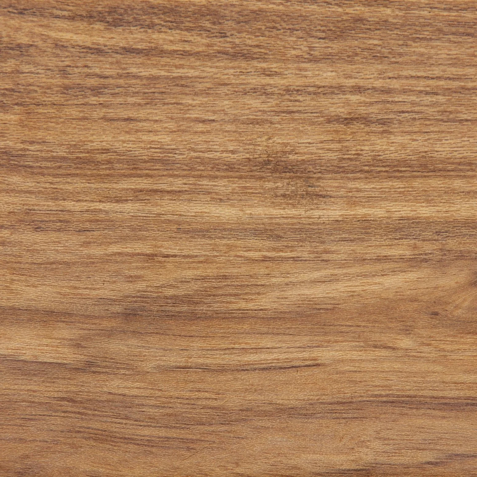 Elm Sample By Costantini 00.jpg