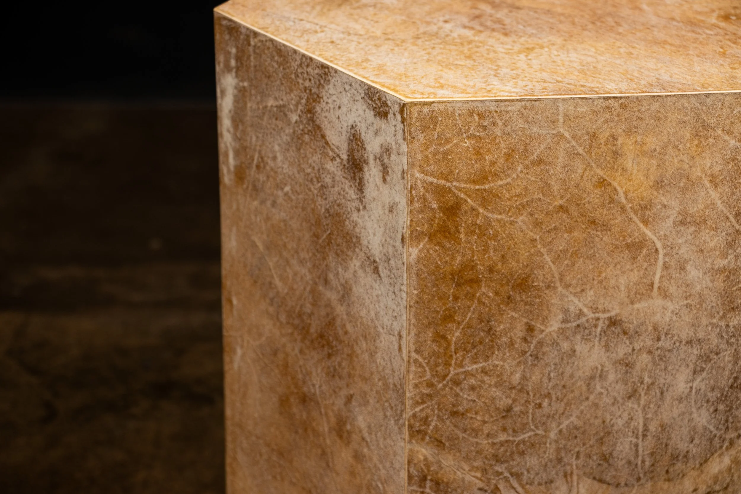 Pergamino Hex chico Caramel 240911_01 by Costantini 08.JPG