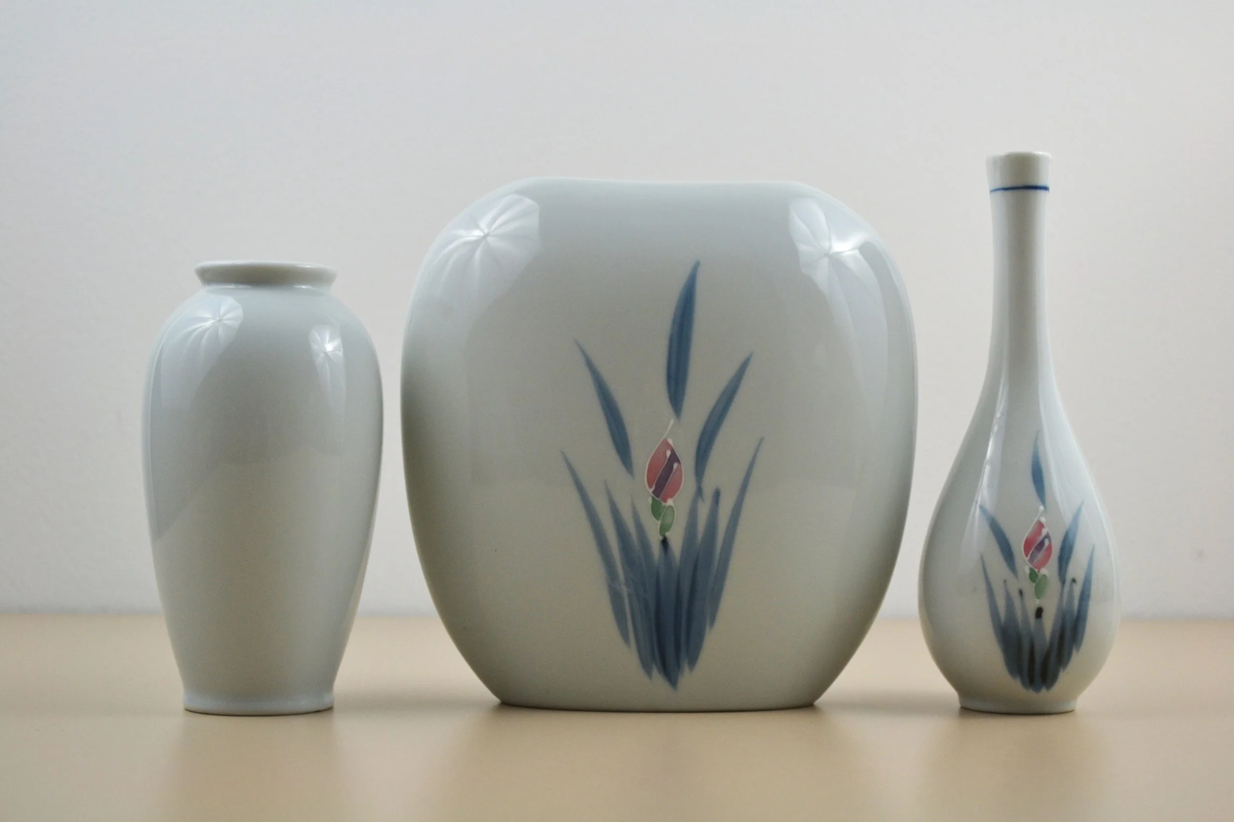 DSC_0004 - Copy (2).JPG