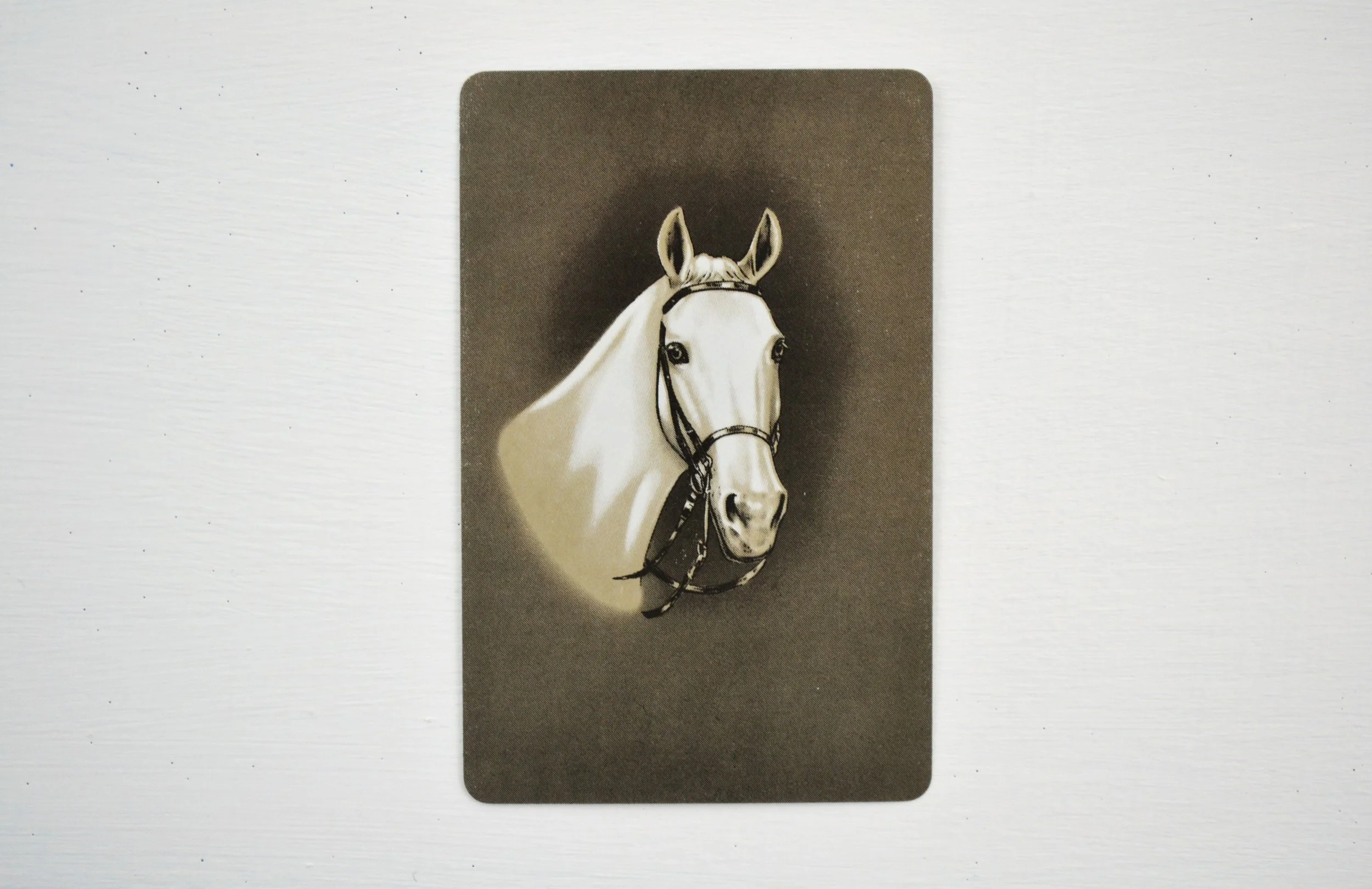 DSC_0004 - Copy (5).JPG