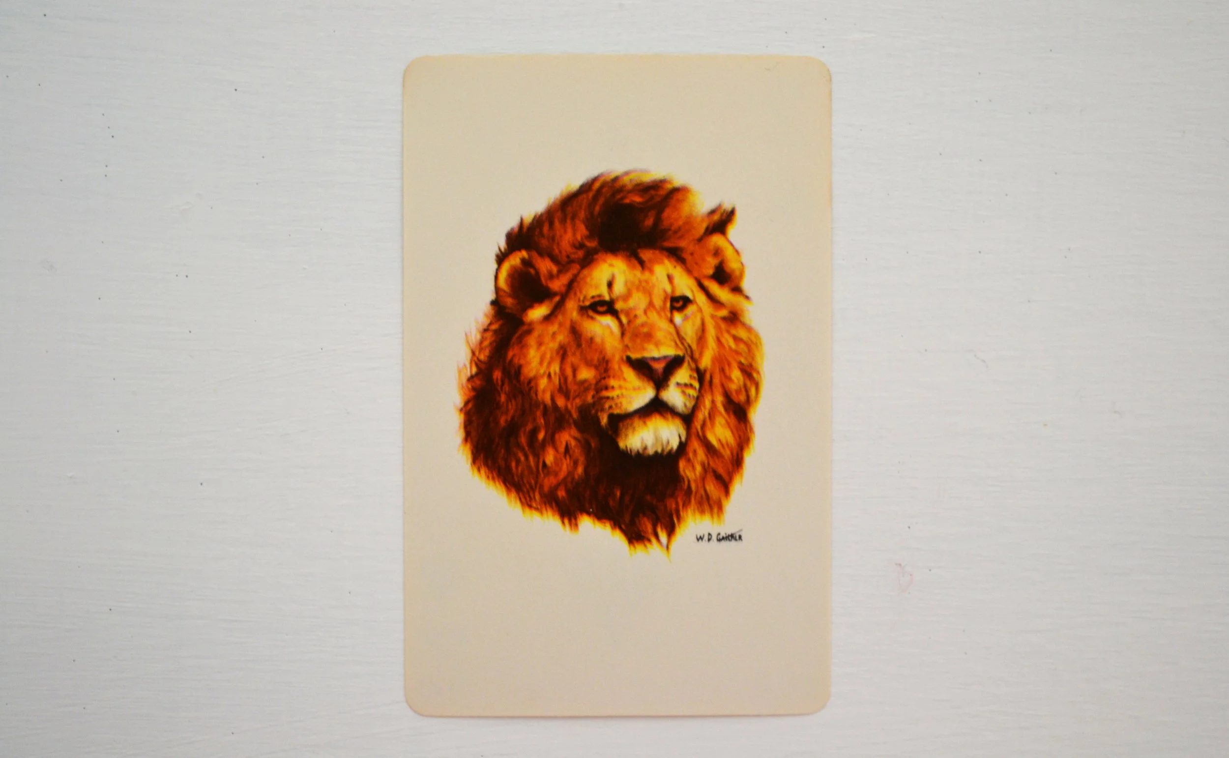 DSC_0005 - Copy (4).JPG