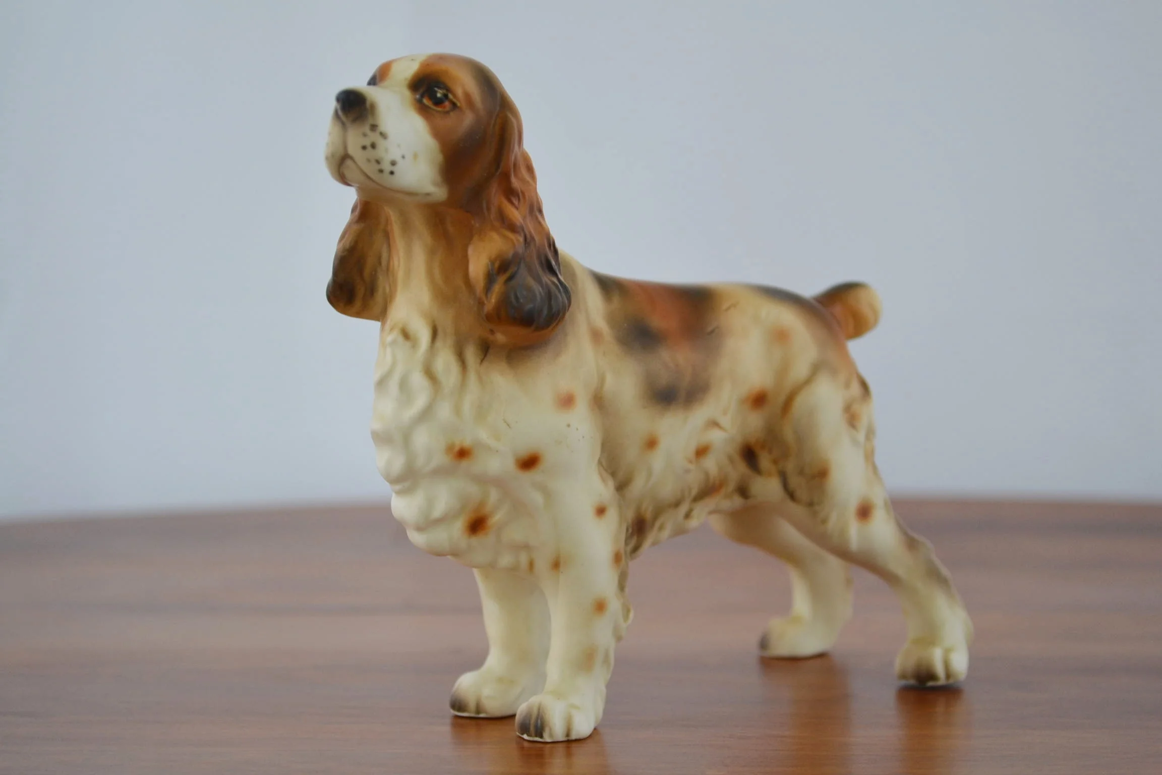 dog 001.JPG