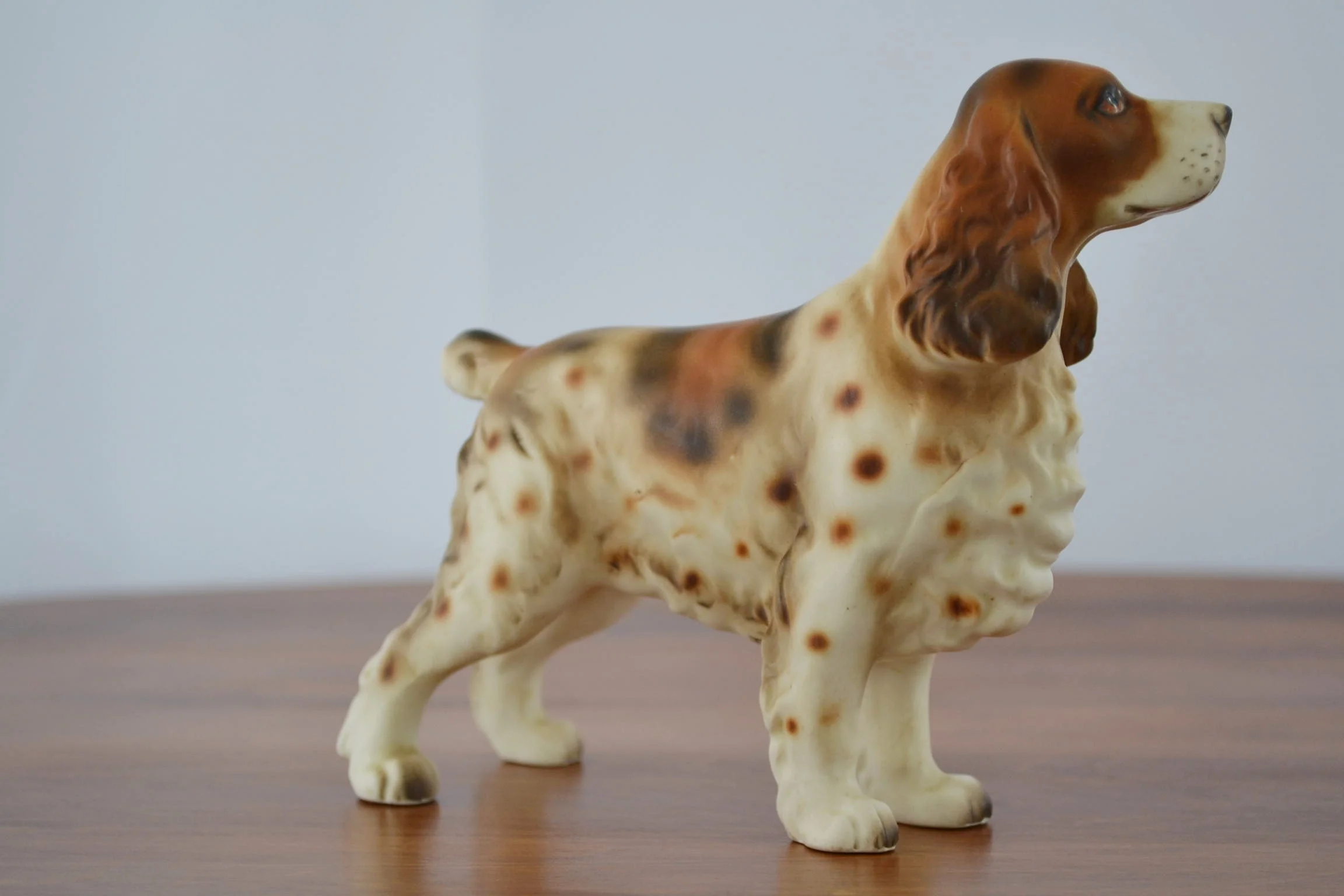 dog 004.JPG