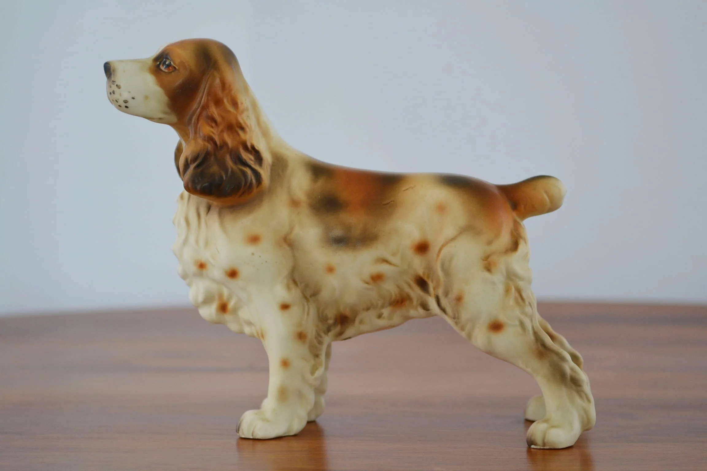 dog 002.JPG