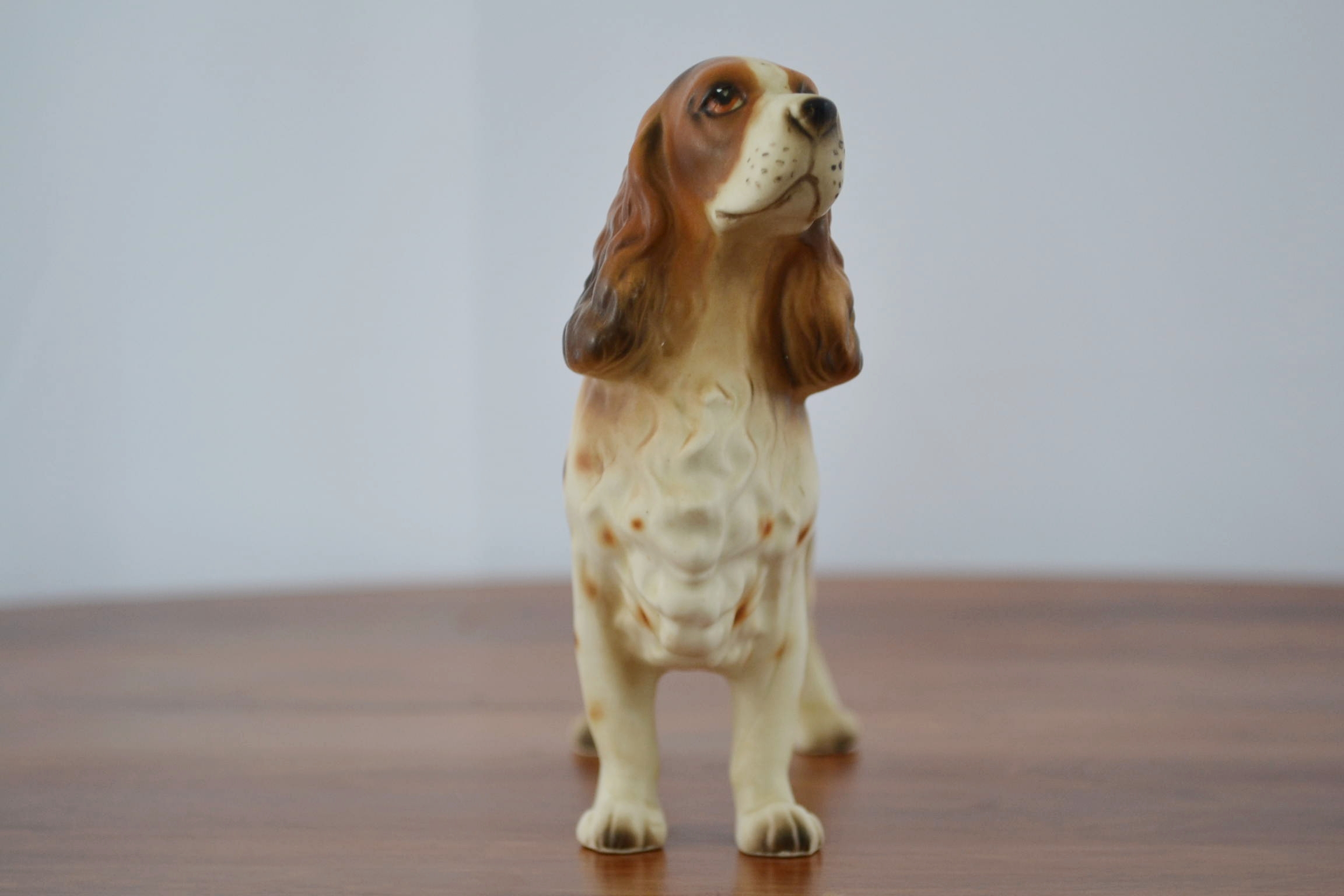 dog 005.JPG