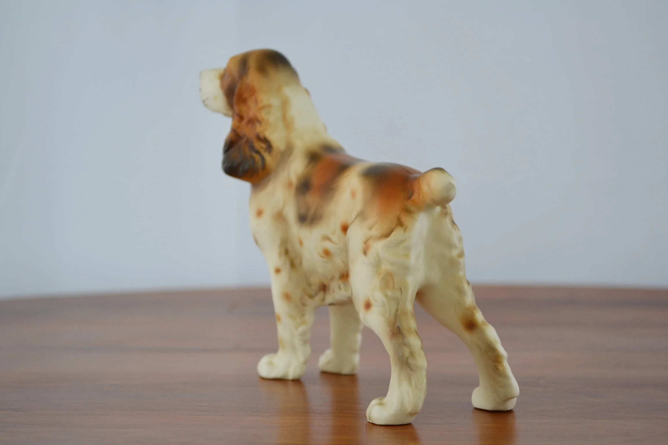 dog 003.JPG